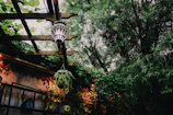 Outdoor patio adorned with eclectic lanterns, plants, and patterned throws.