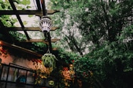 A cozy outdoor patio featuring a mix of greenery and decorative elements. A patterned lantern hangs from a wooden pergola, illuminating the space with a warm glow. Lush plants, including a hanging basket, surround the patio, with large leafy trees towering overhead. Birdhouses and small, colorful decorations add charm to the scene.