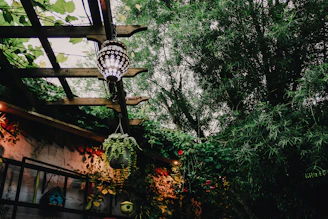 A serene backyard patio featuring hanging lanterns, lush green plants in decorative pots, and a comfortable wicker sofa.