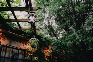 A cozy outdoor patio featuring a mix of greenery and decorative elements. A patterned lantern hangs from a wooden pergola, illuminating the space with a warm glow. Lush plants, including a hanging basket, surround the patio, with large leafy trees towering overhead. Birdhouses and small, colorful decorations add charm to the scene.