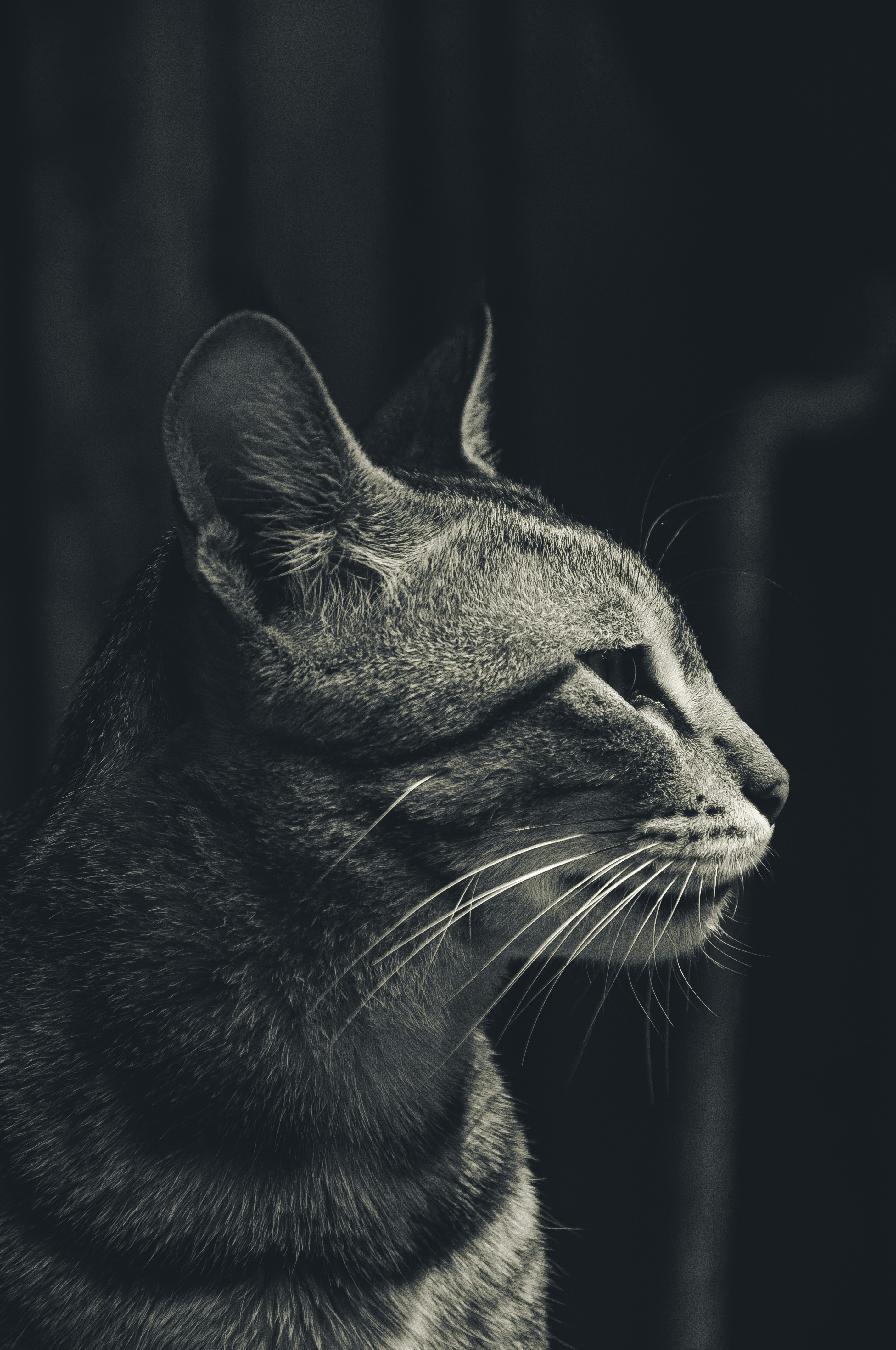 Photo by vaibhavshinde