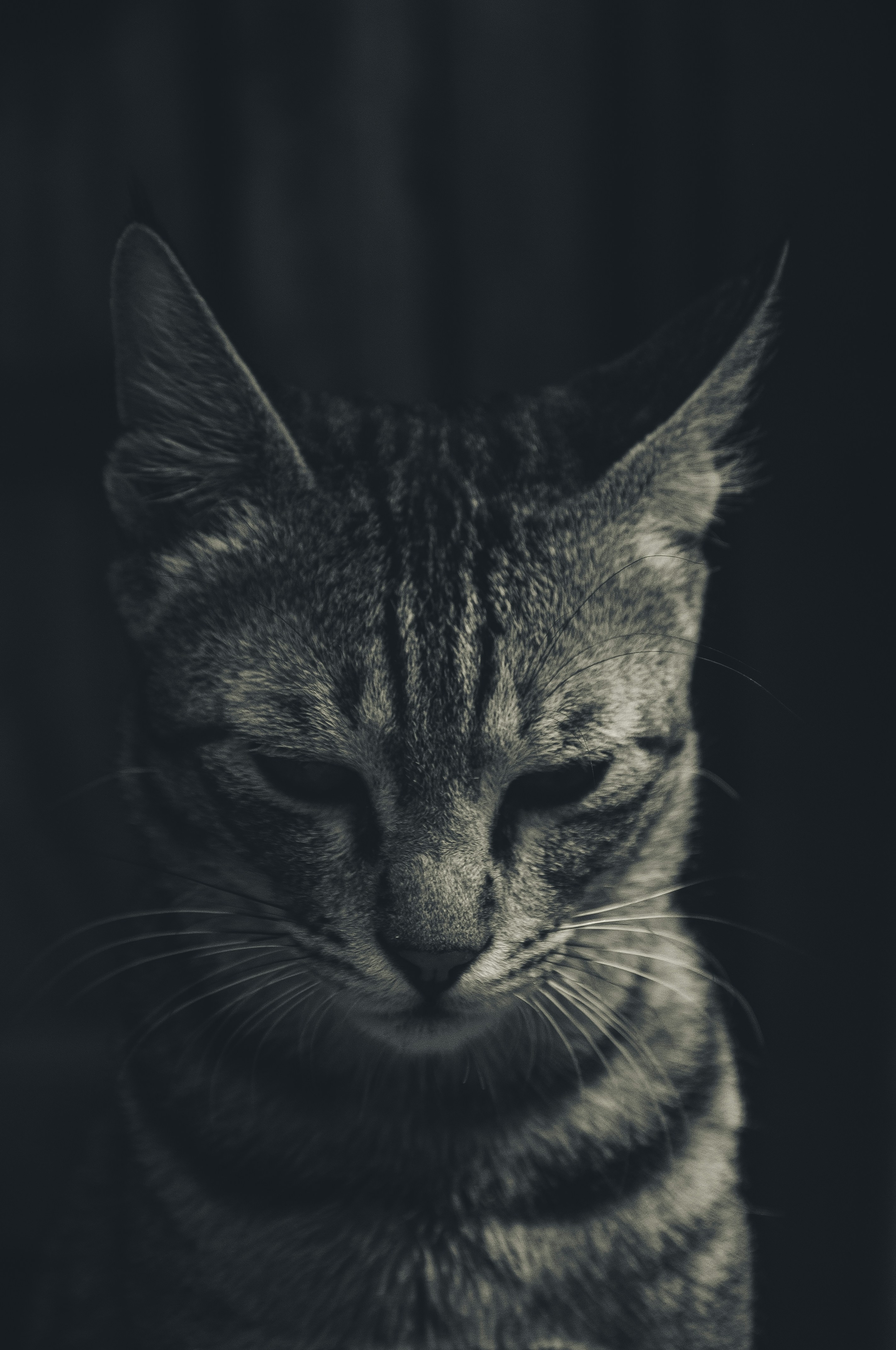 [hikaye] : Dünkü oturumdan sonra öfkeli ve...