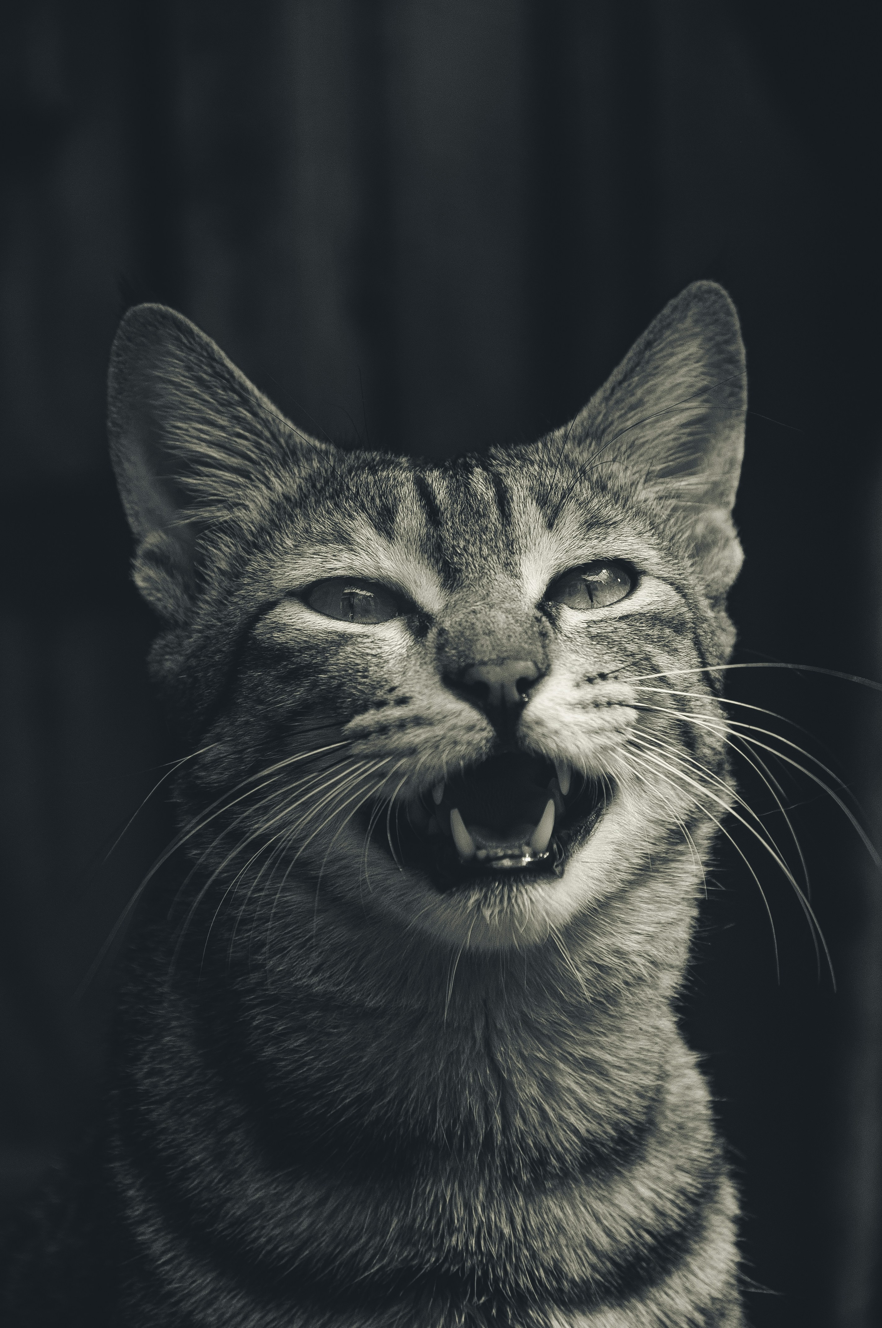 Photo by vaibhavshinde