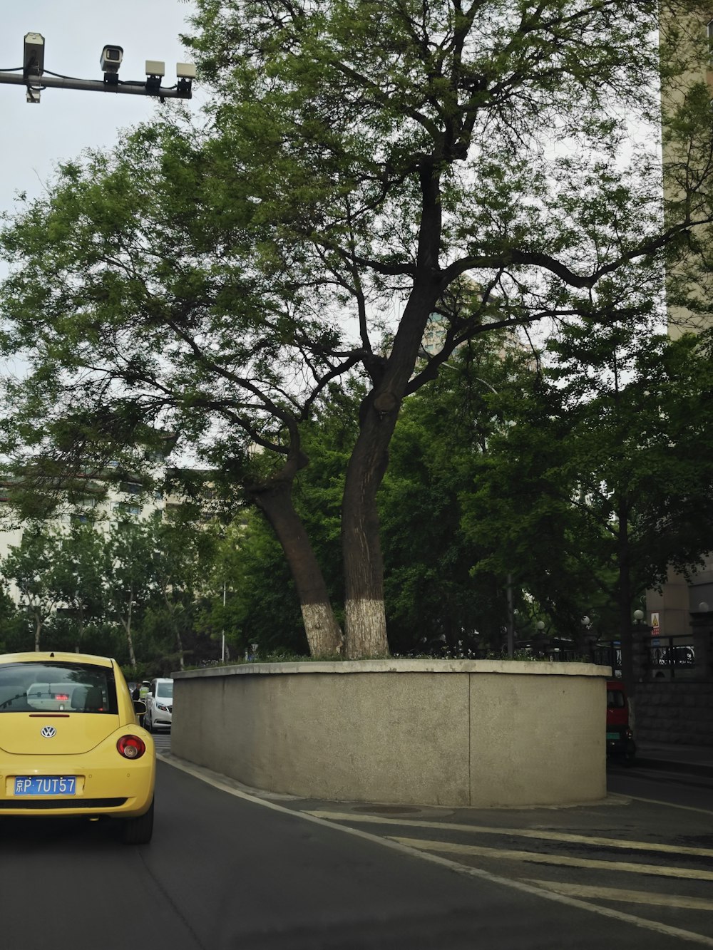 a yellow car driving down a street next to a tree