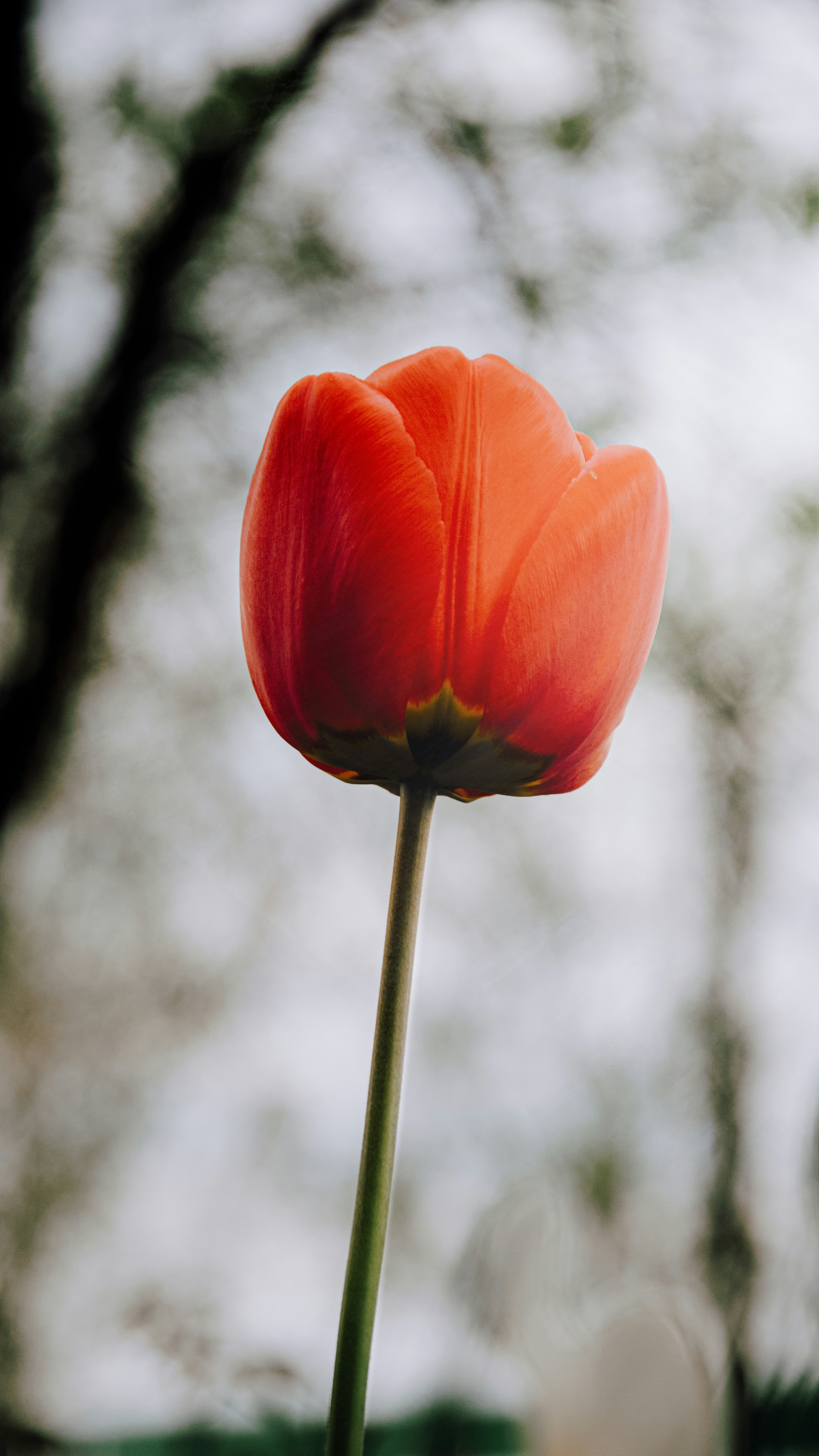 Photo by impermanent