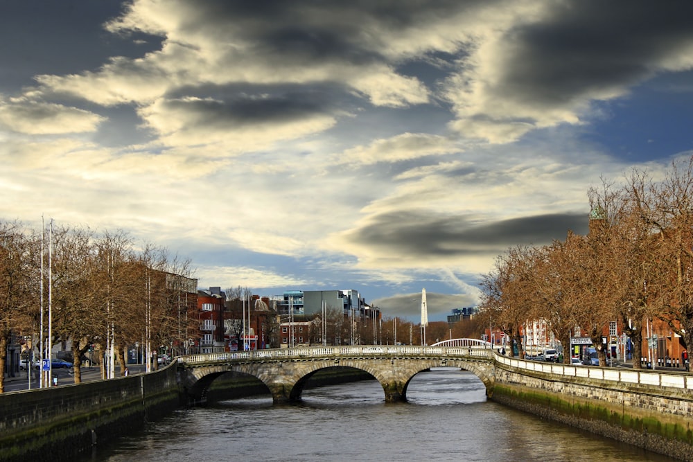 a bridge over a river in a city