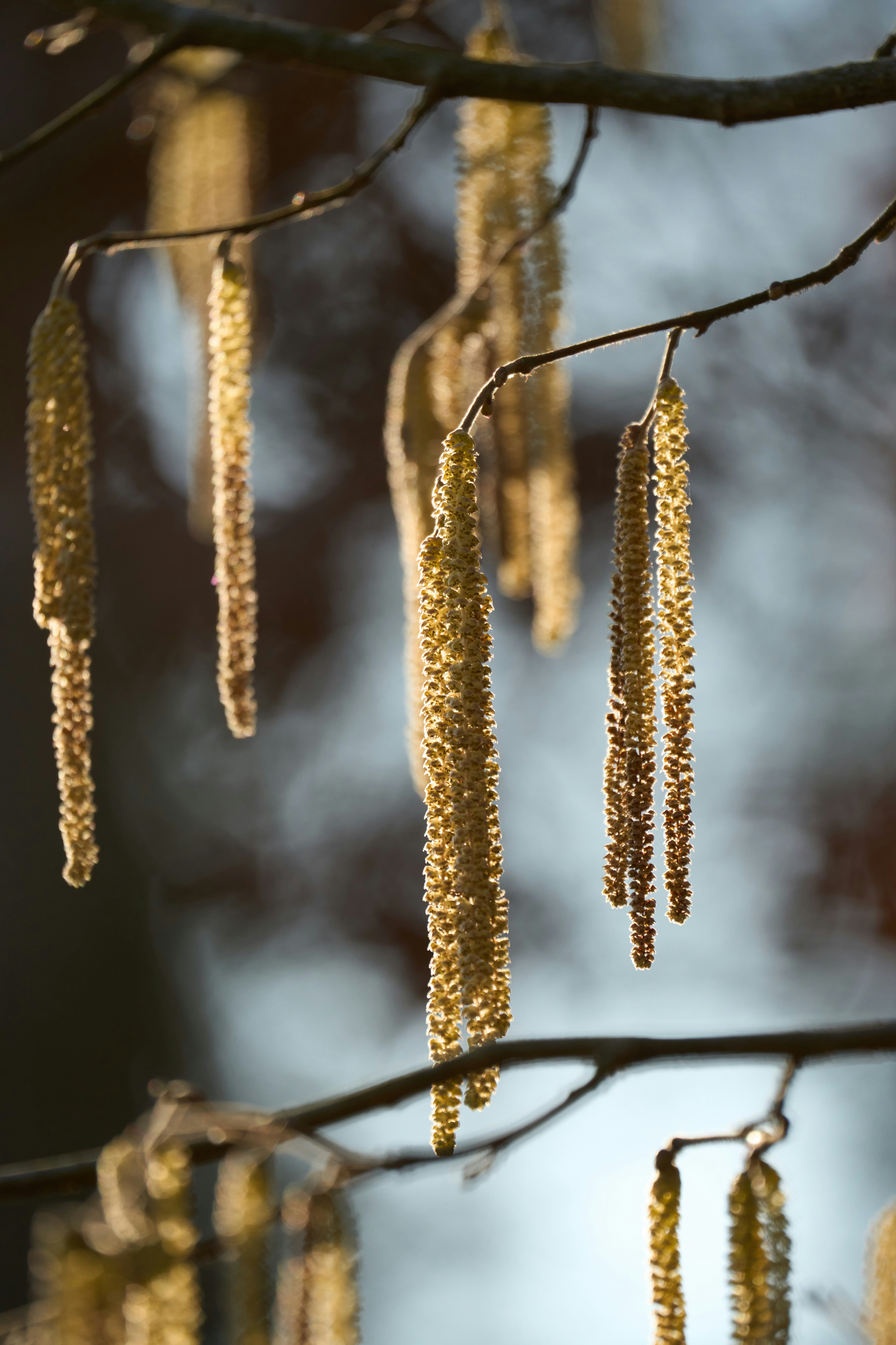 Photo by wolfgang_hasselmann