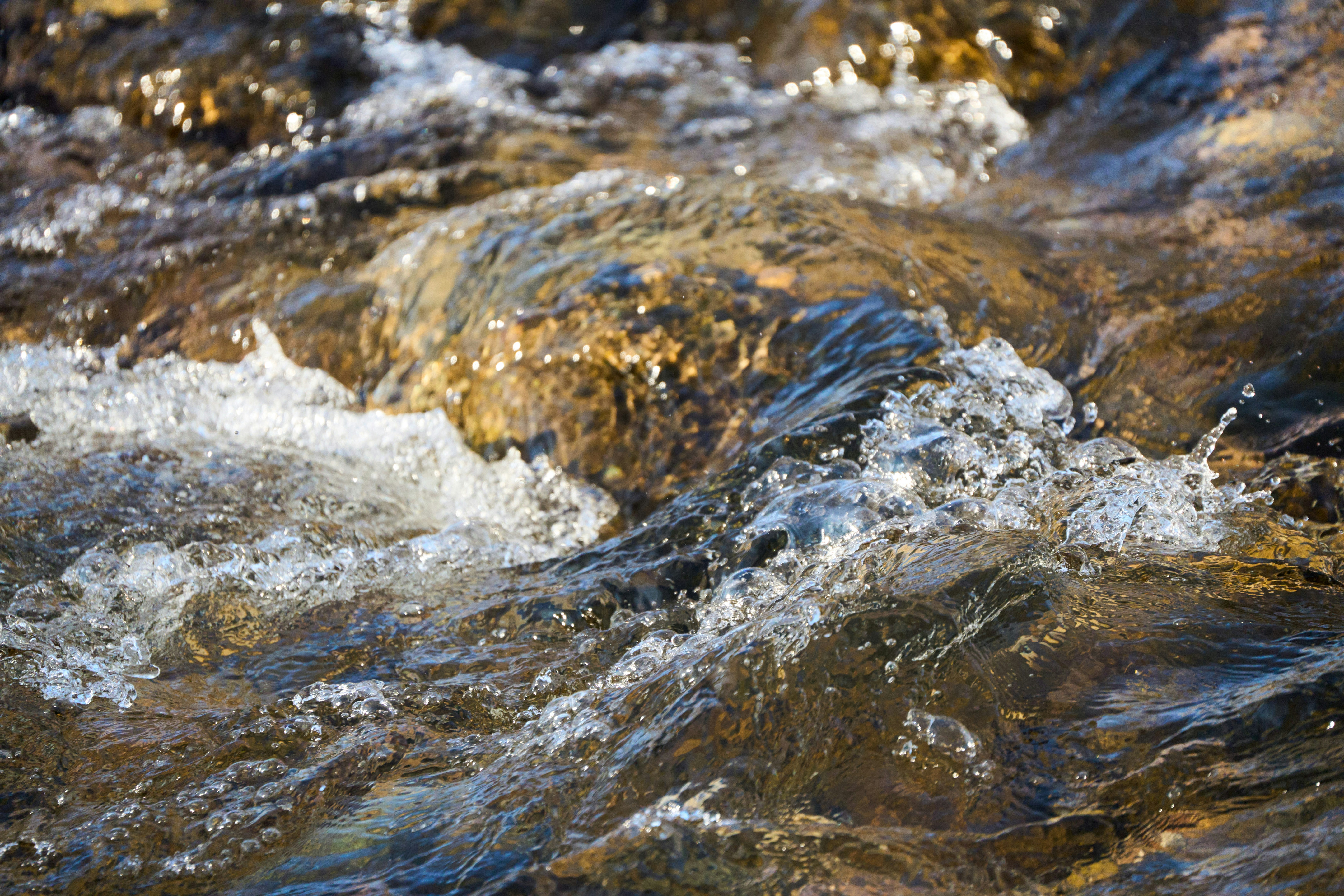 Photo by wolfgang_hasselmann