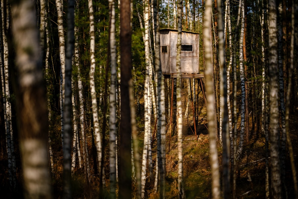 a tree house in the middle of a forest