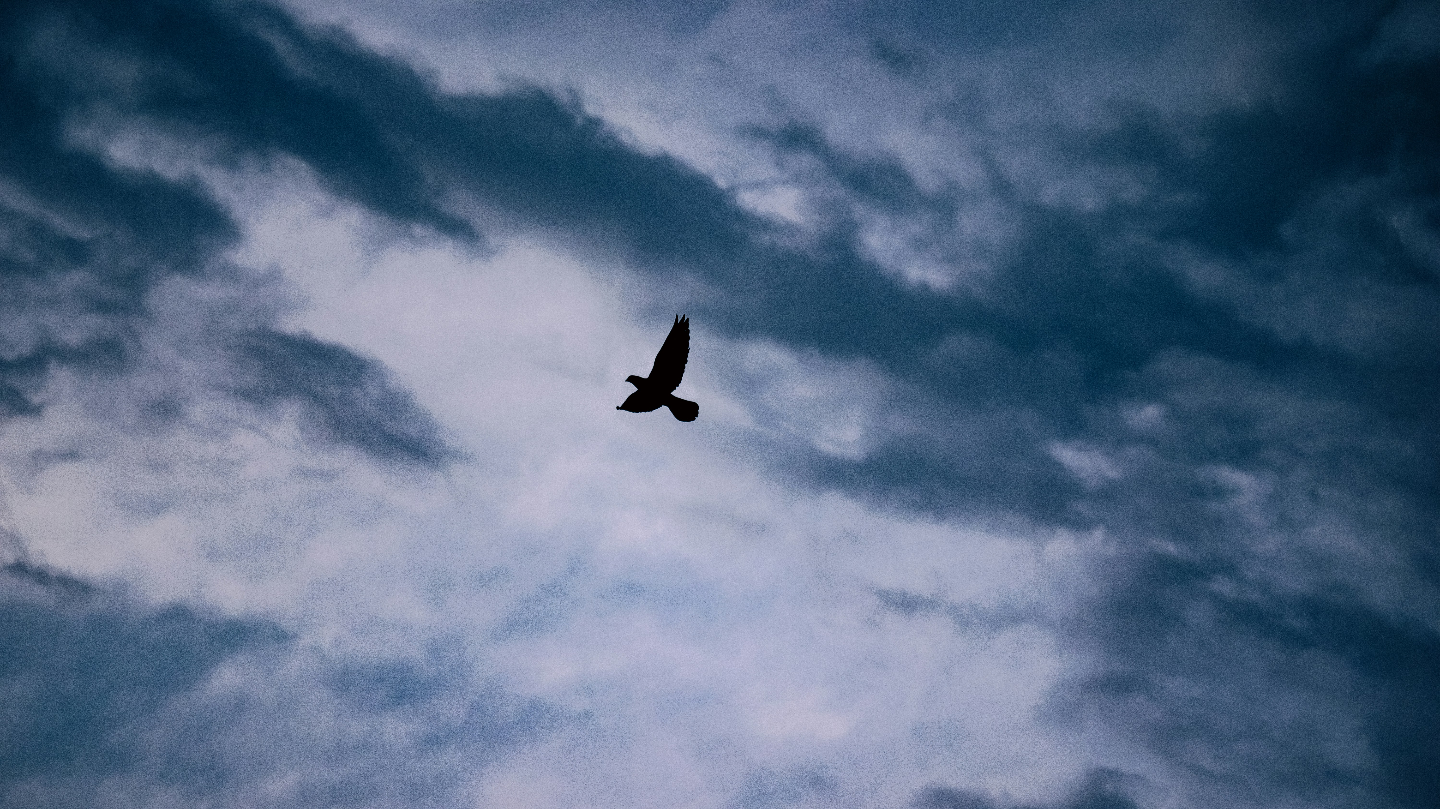 Photo by sinabahar76