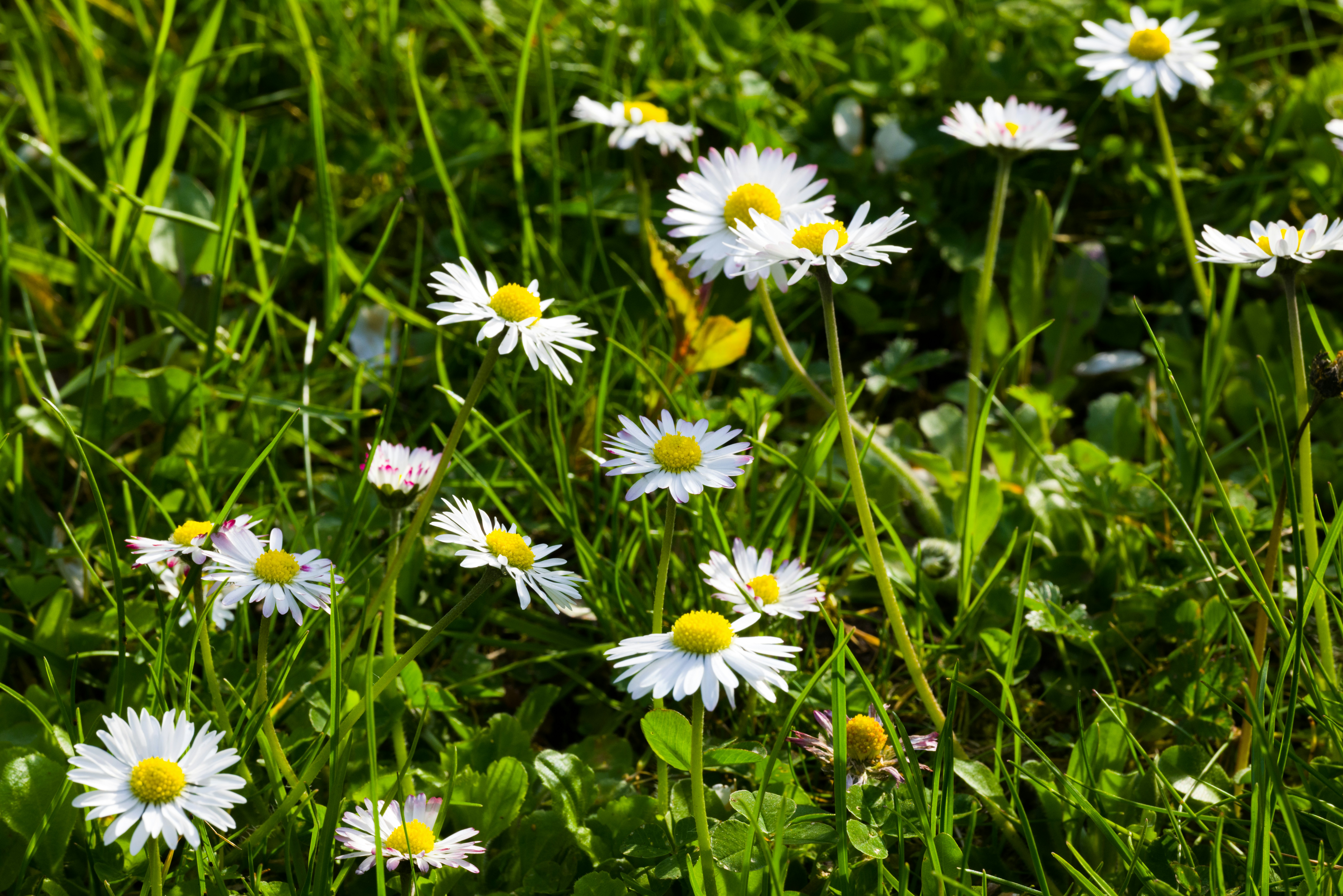 Photo by georgeiermann