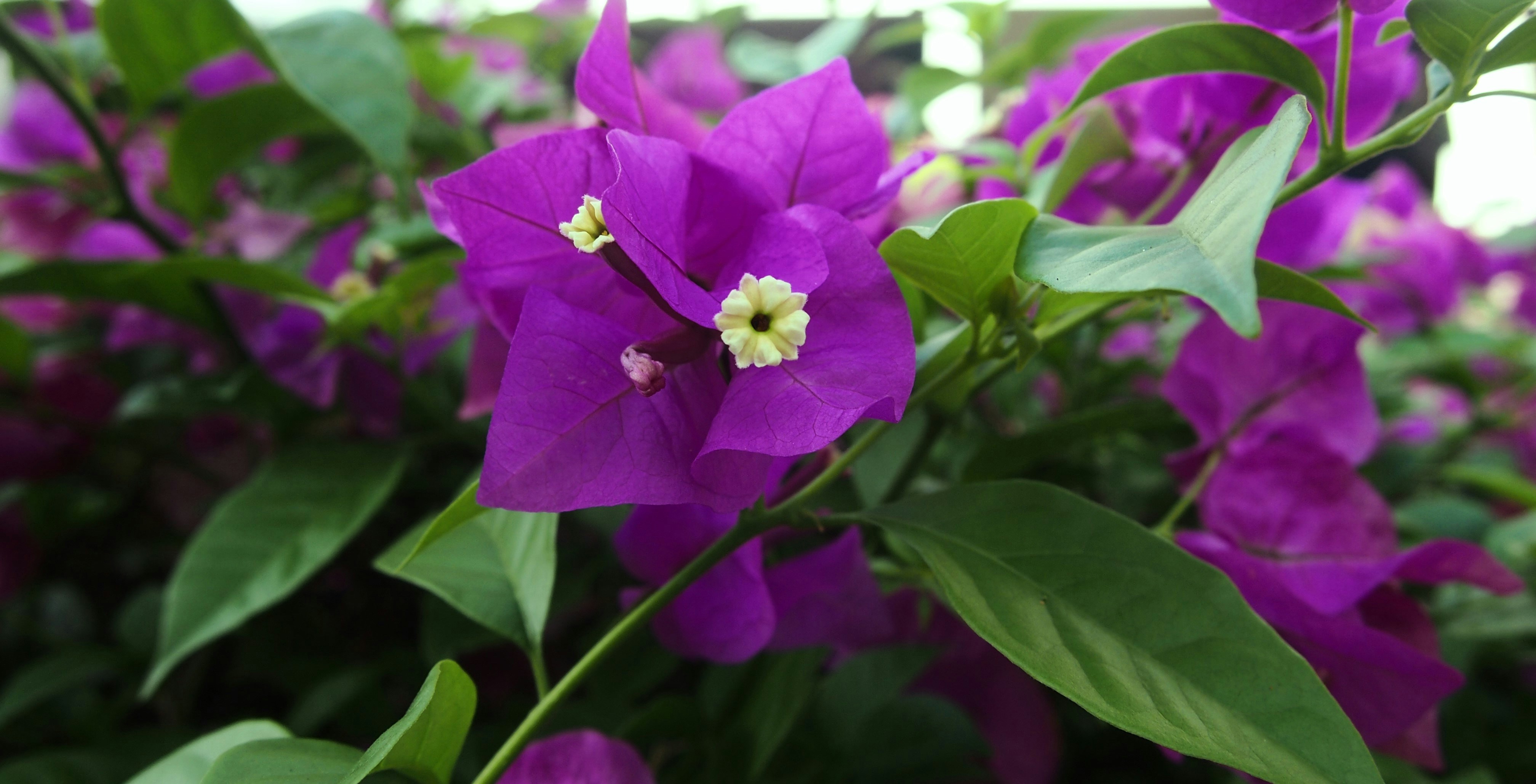 Photo by kosherjellyfish