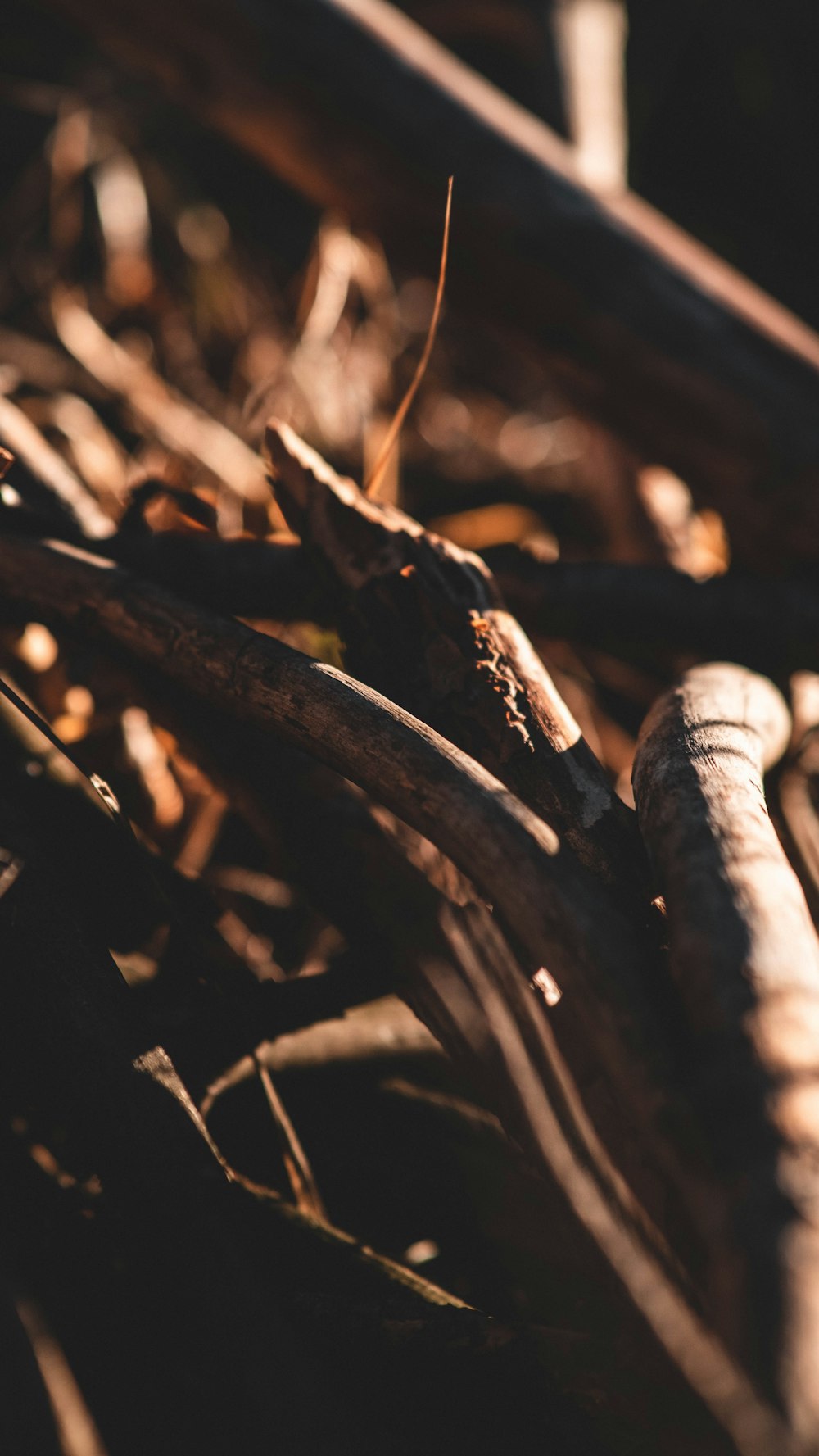 a close up of a bunch of sticks and wood