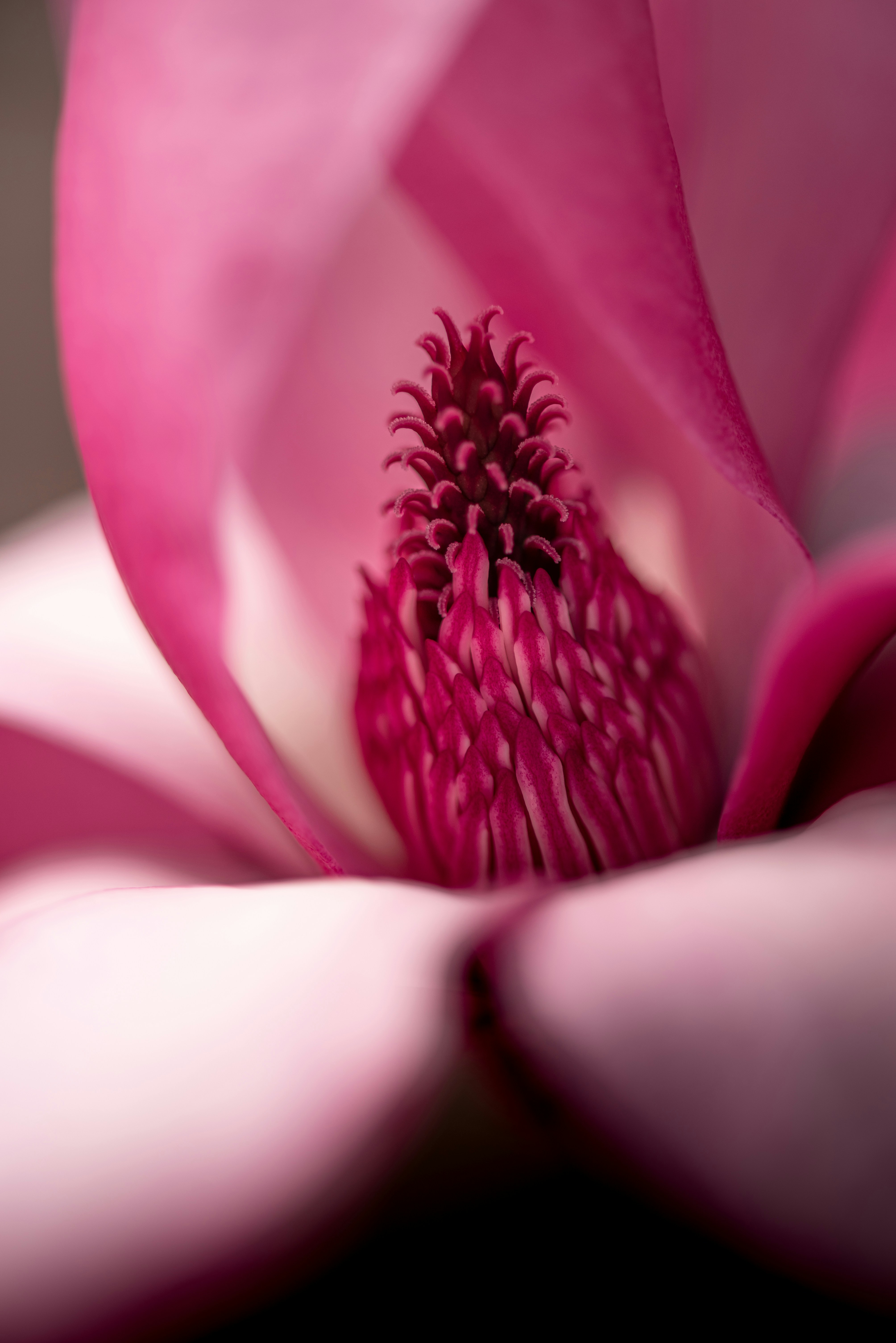 Photo by albulenapanduri