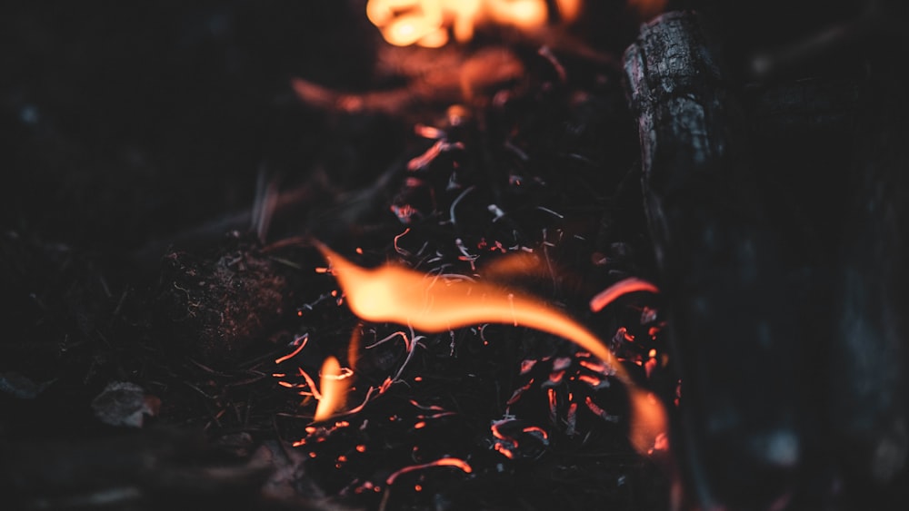 a close up of a fire in the dark