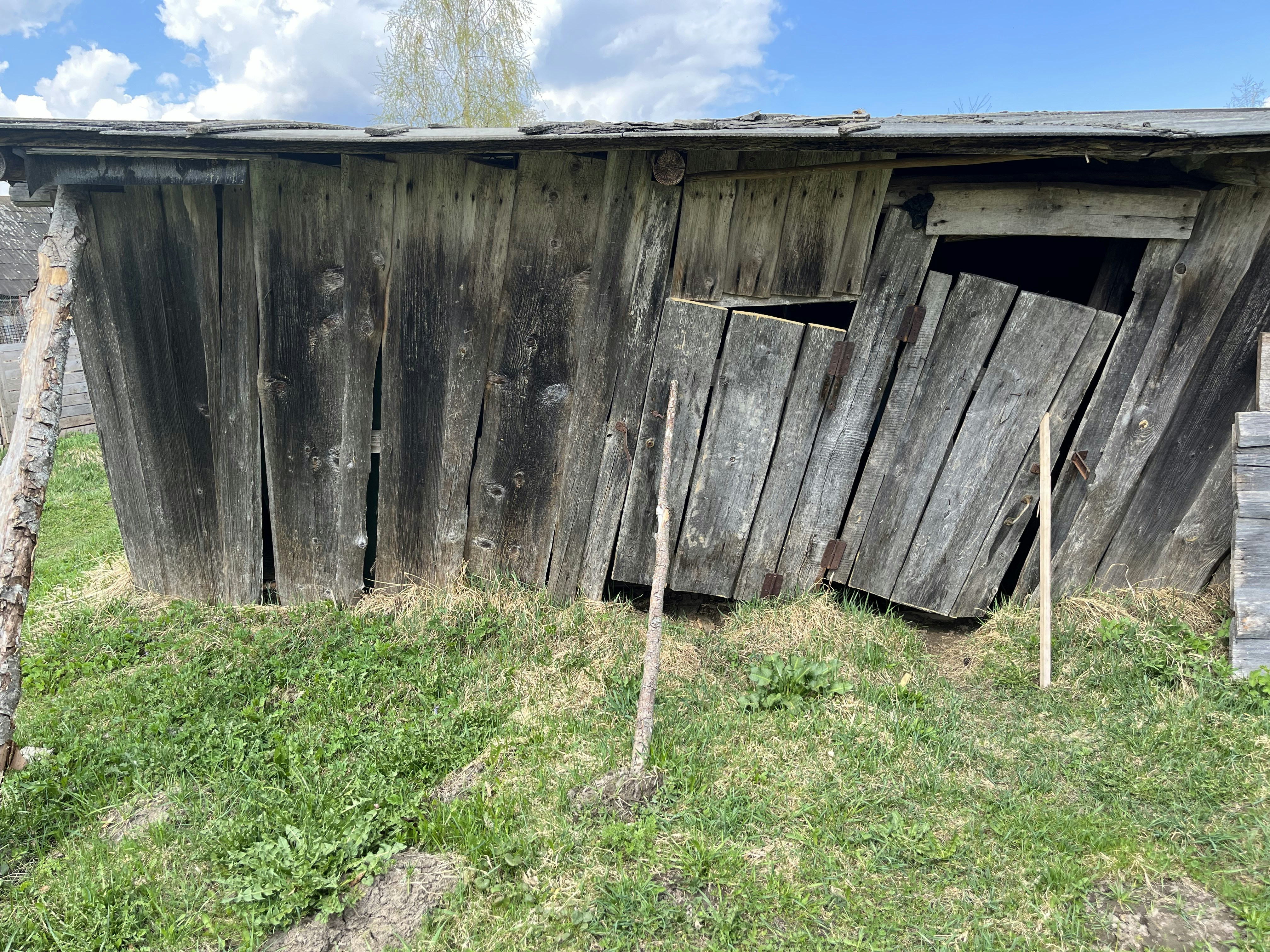 Dilapidated wooden shed being demolished in a Tennessee backyard, overcast sky, debris around base