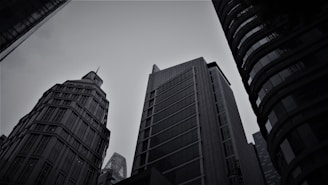 a black and white photo of tall buildings
