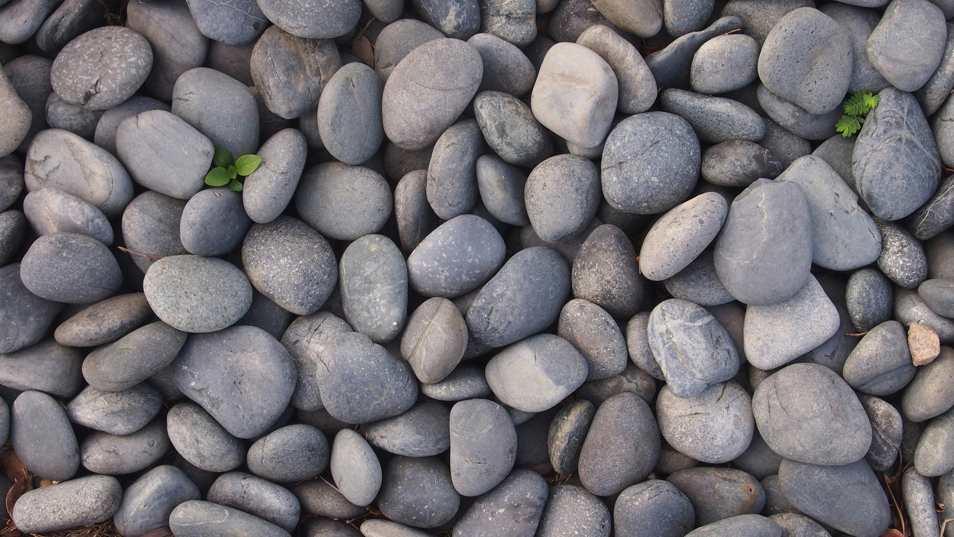 Photo by kosherjellyfish