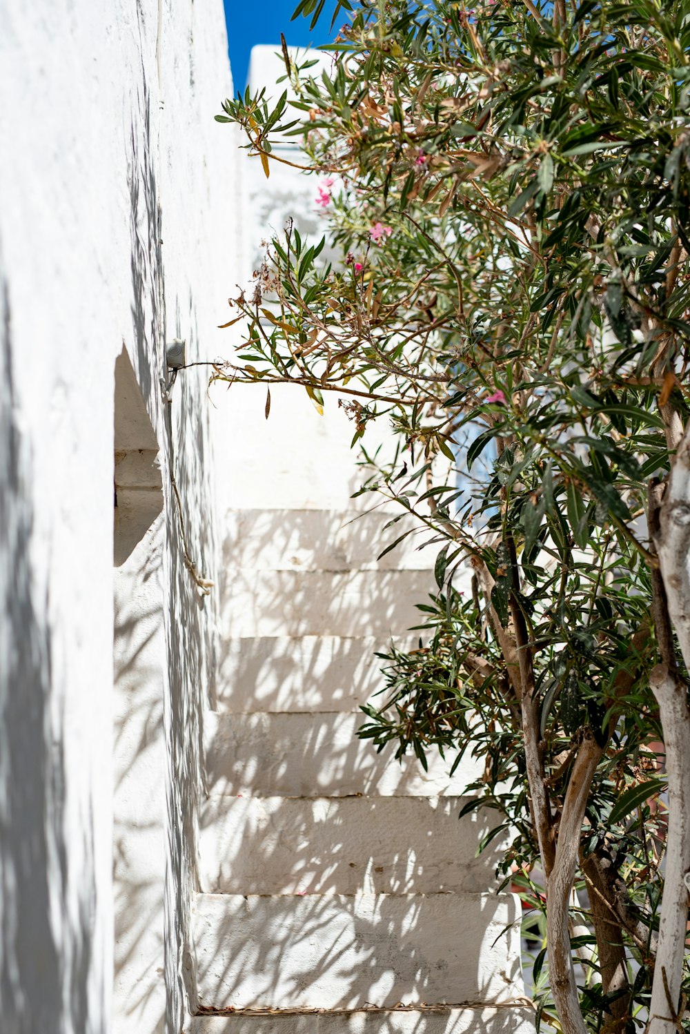 a cat is sitting on the steps of a house