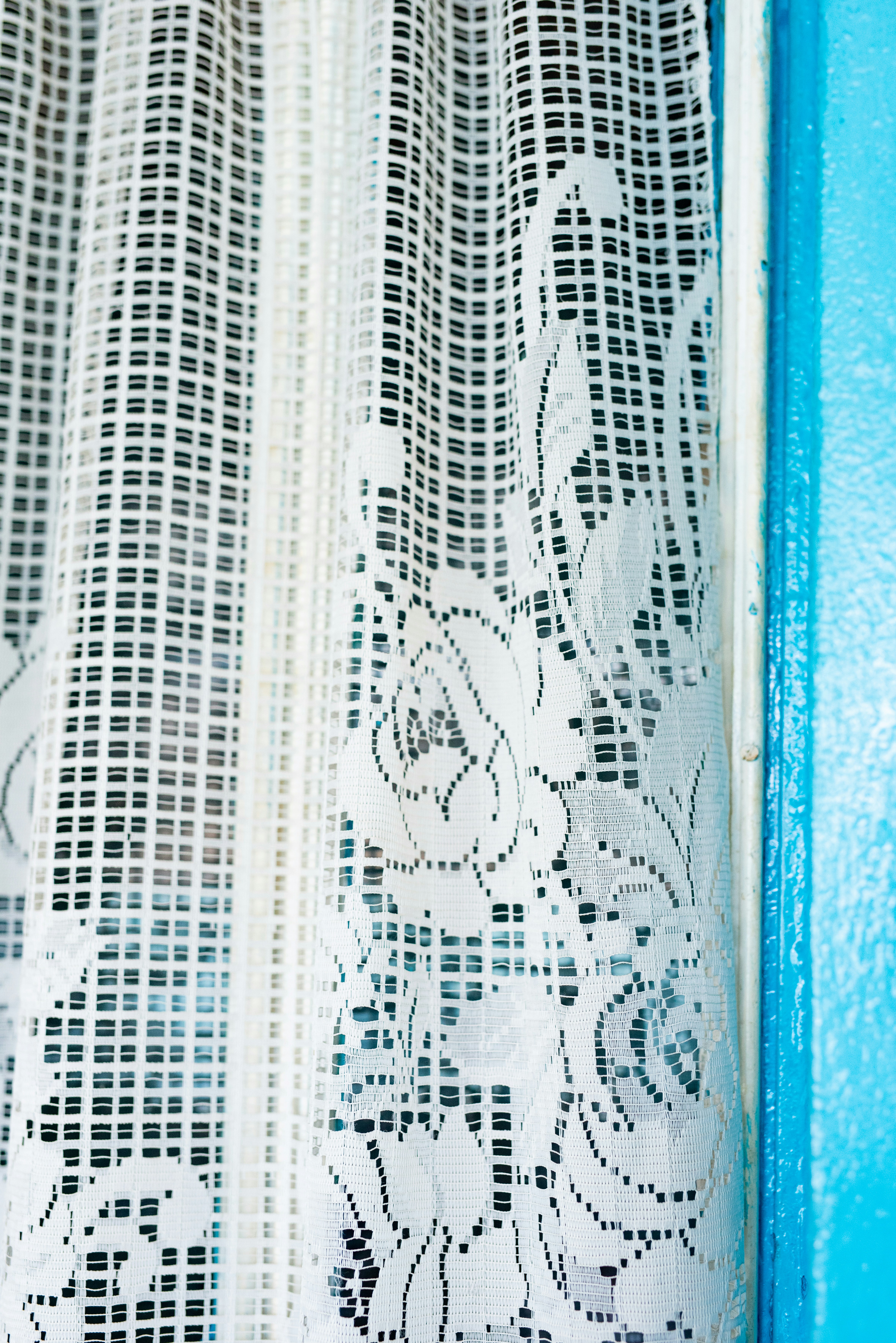 Photo by lauraadaiphoto