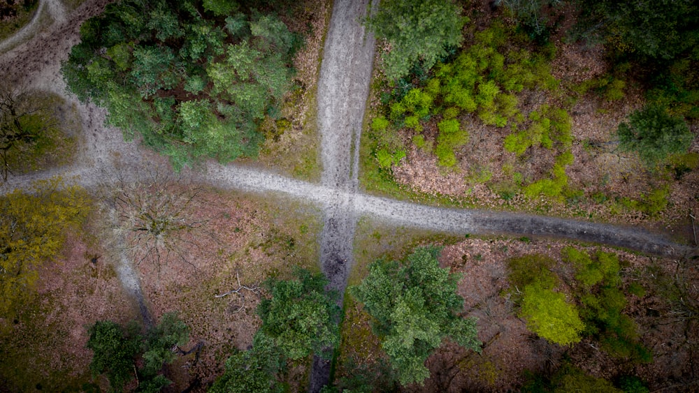 an aerial view of a road surrounded by trees