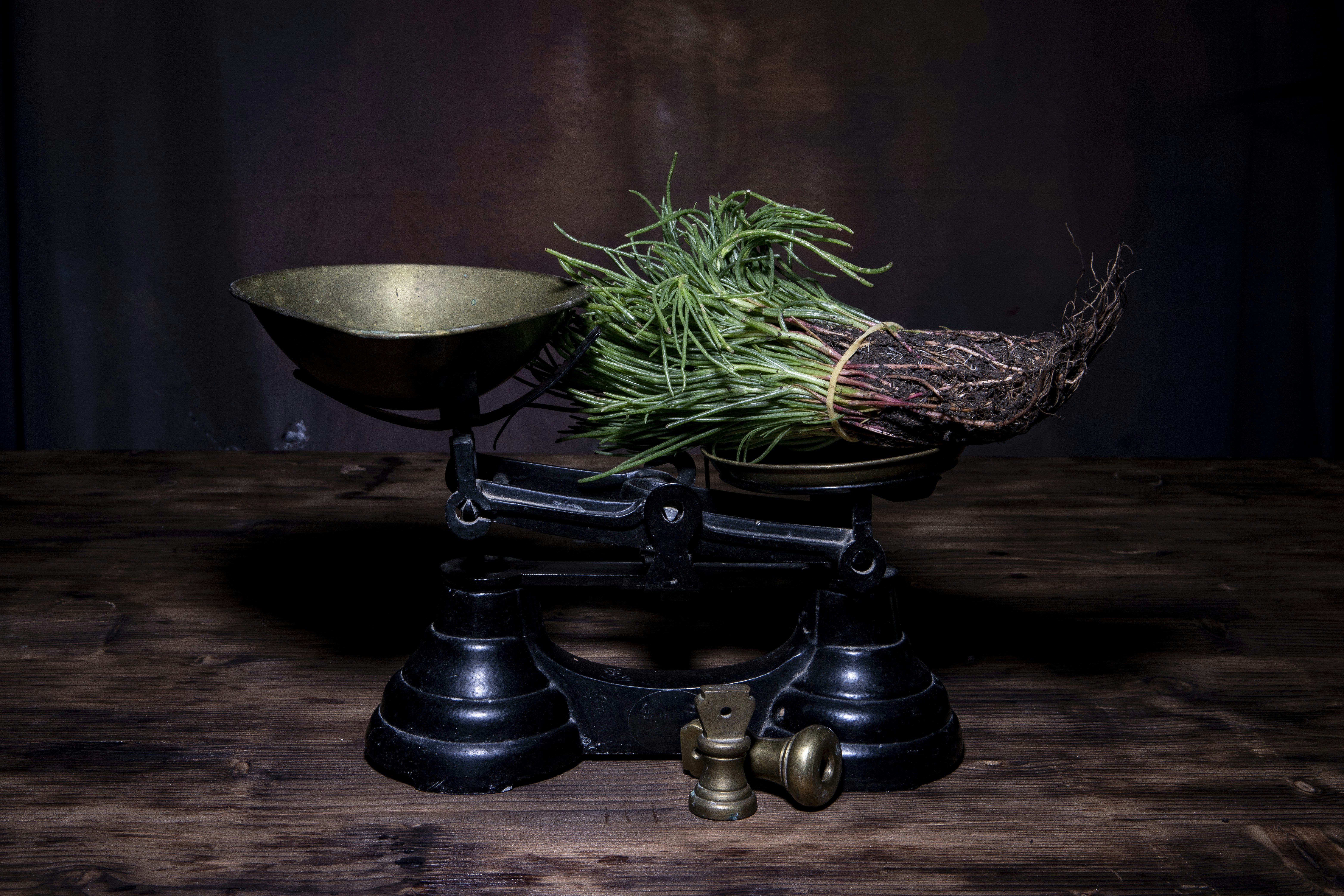 a metal bowl sitting on top of a scale