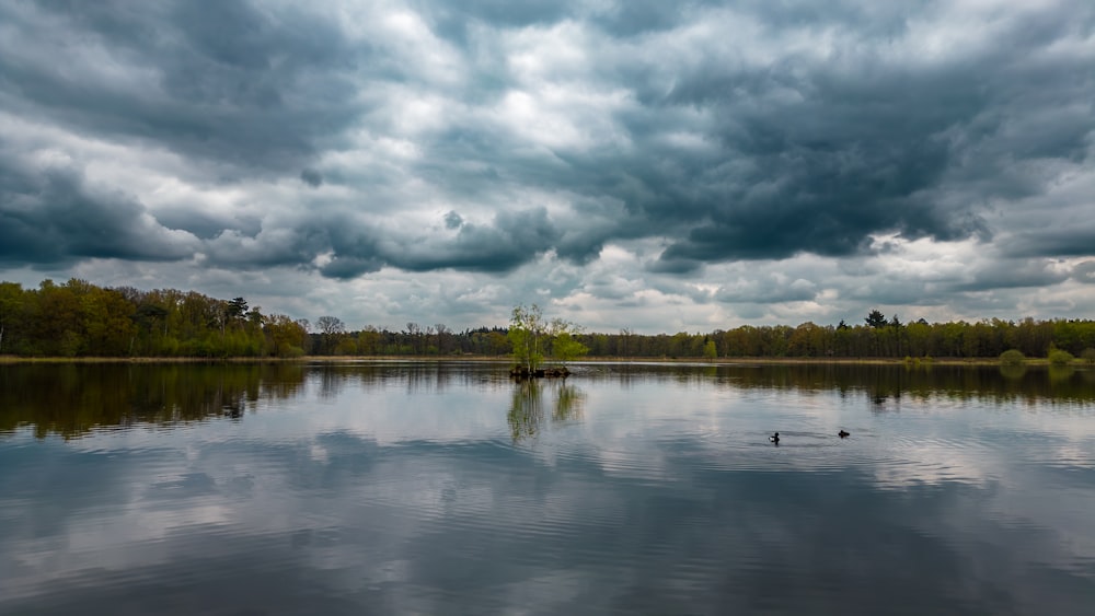 a large body of water surrounded by trees