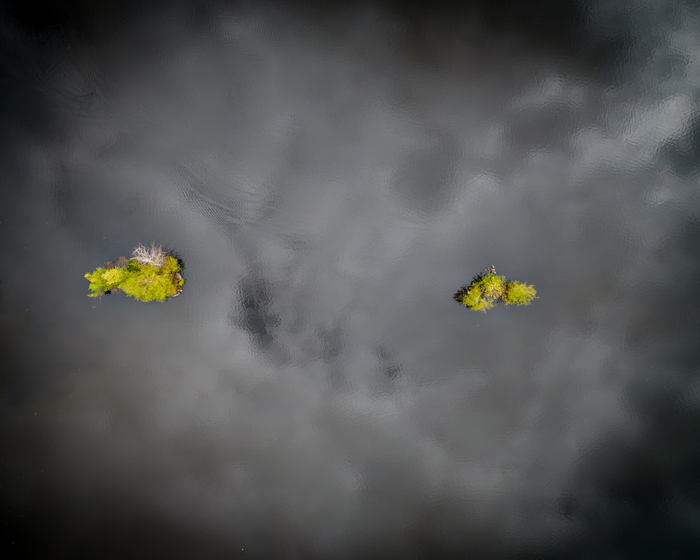 a couple of birds flying through a cloudy sky