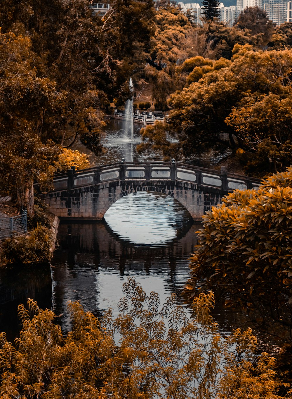 un pont sur une rivière avec une fontaine au milieu