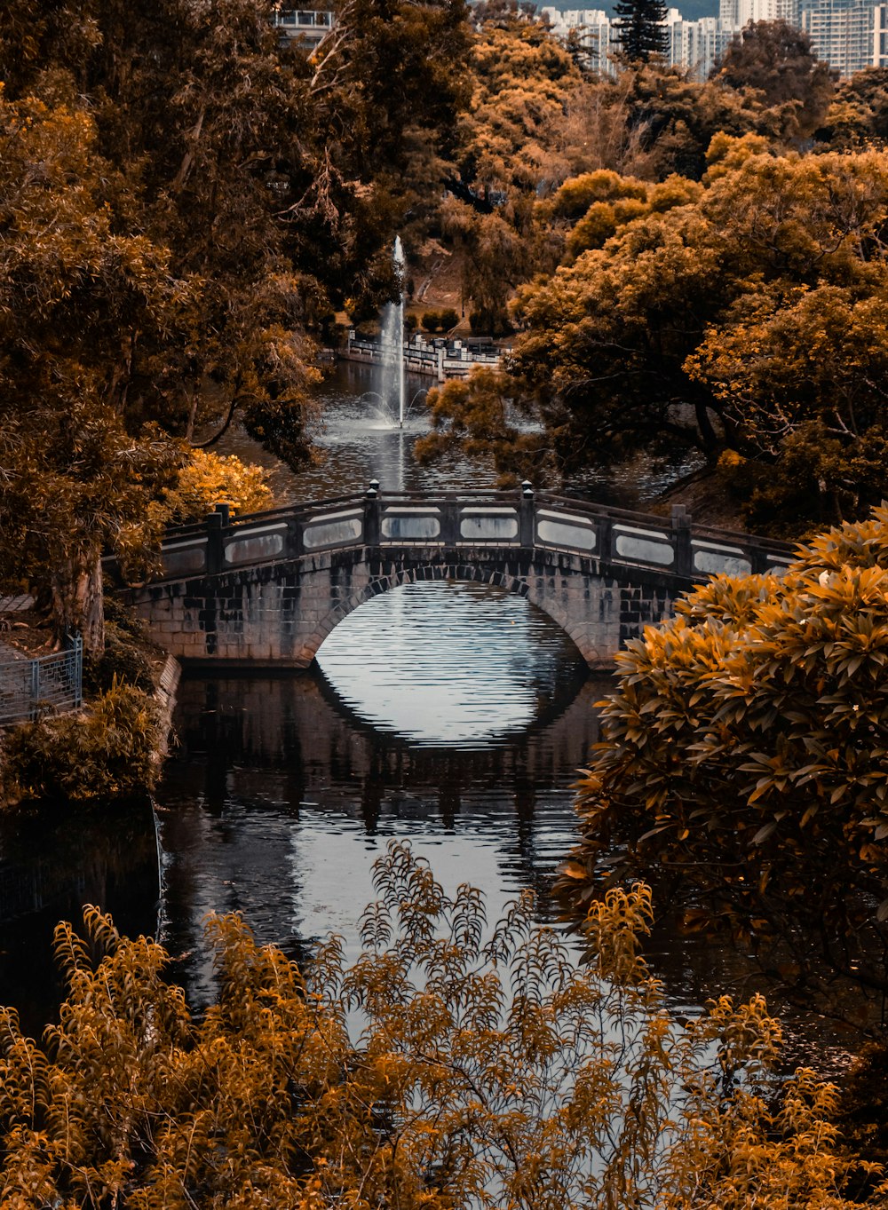 a bridge over a river with a fountain in the middle of it