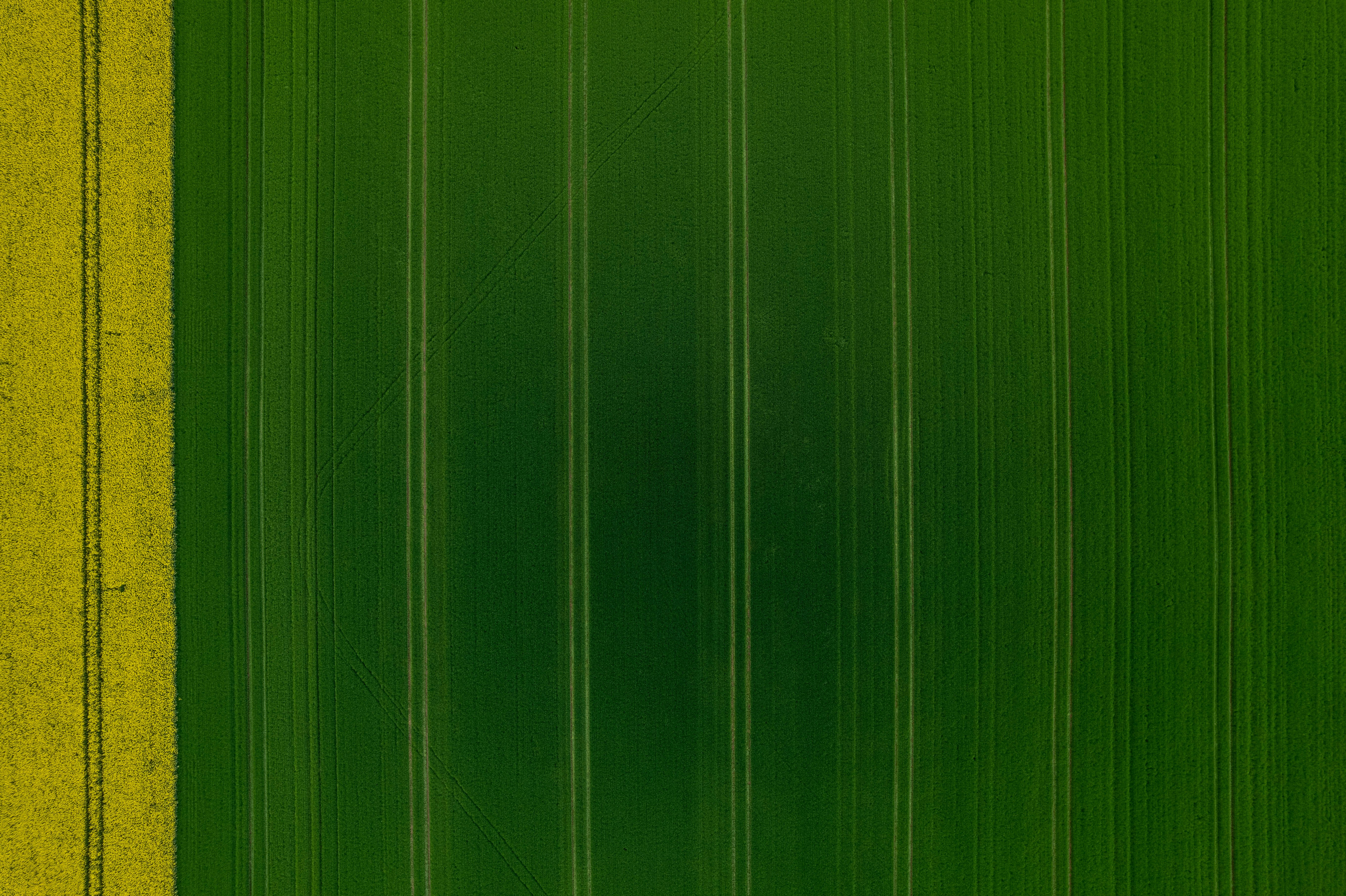 a green field with a yellow strip in the middle
