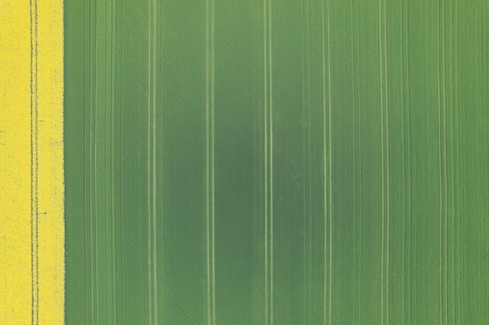 a green field with a yellow strip in the middle