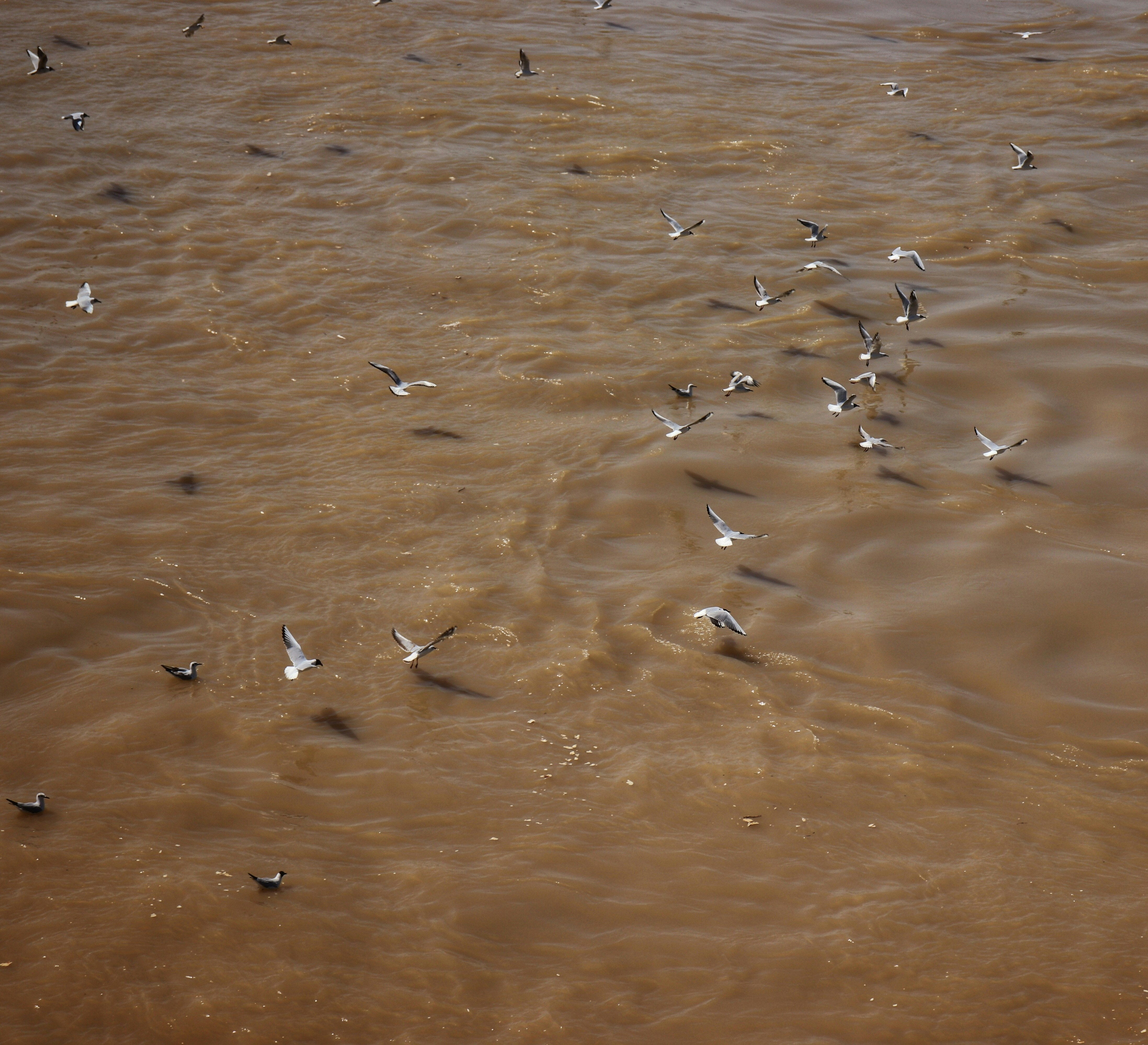 Photo by sinabahar76