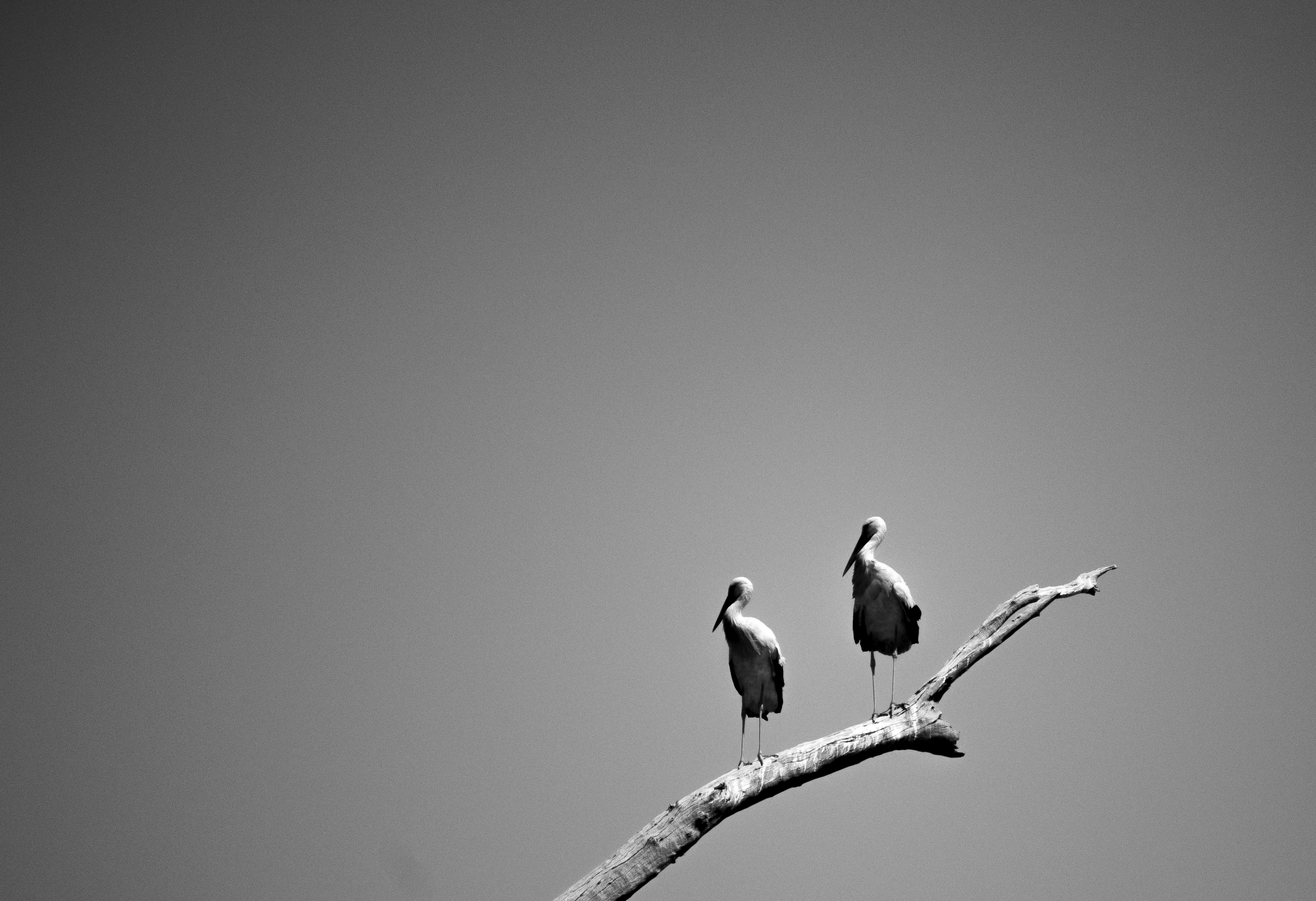 Photo by sinabahar76