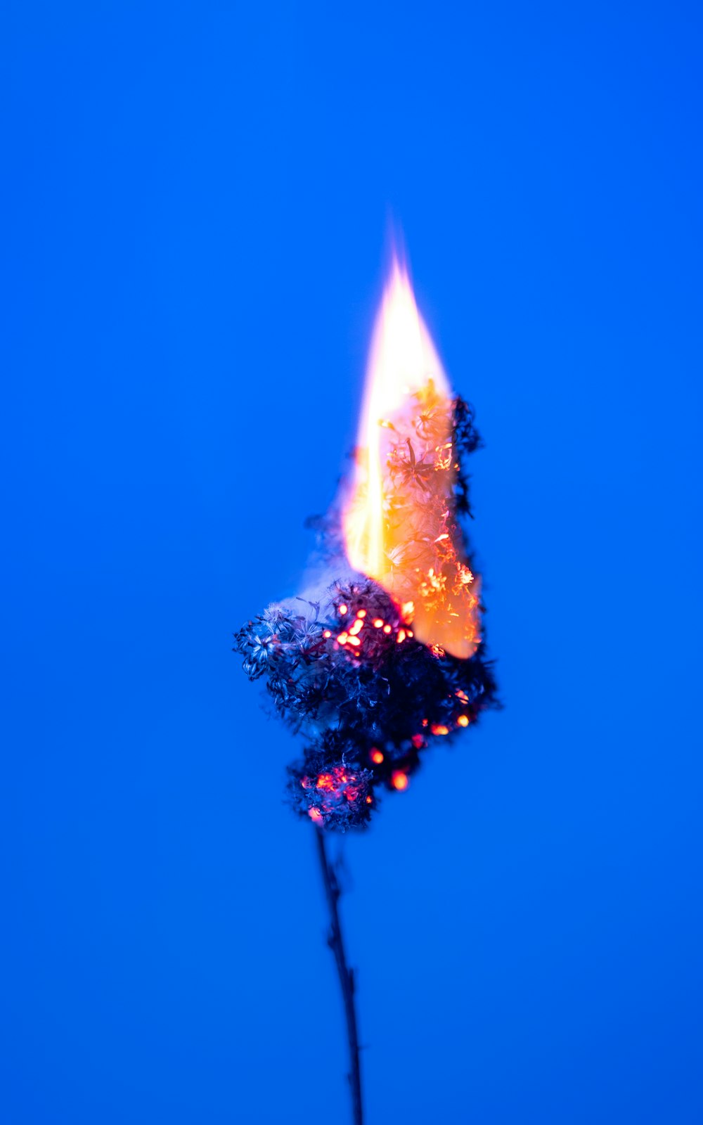 a fire burning in the middle of a blue sky