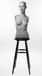 Sculpting Seamless Shapewear