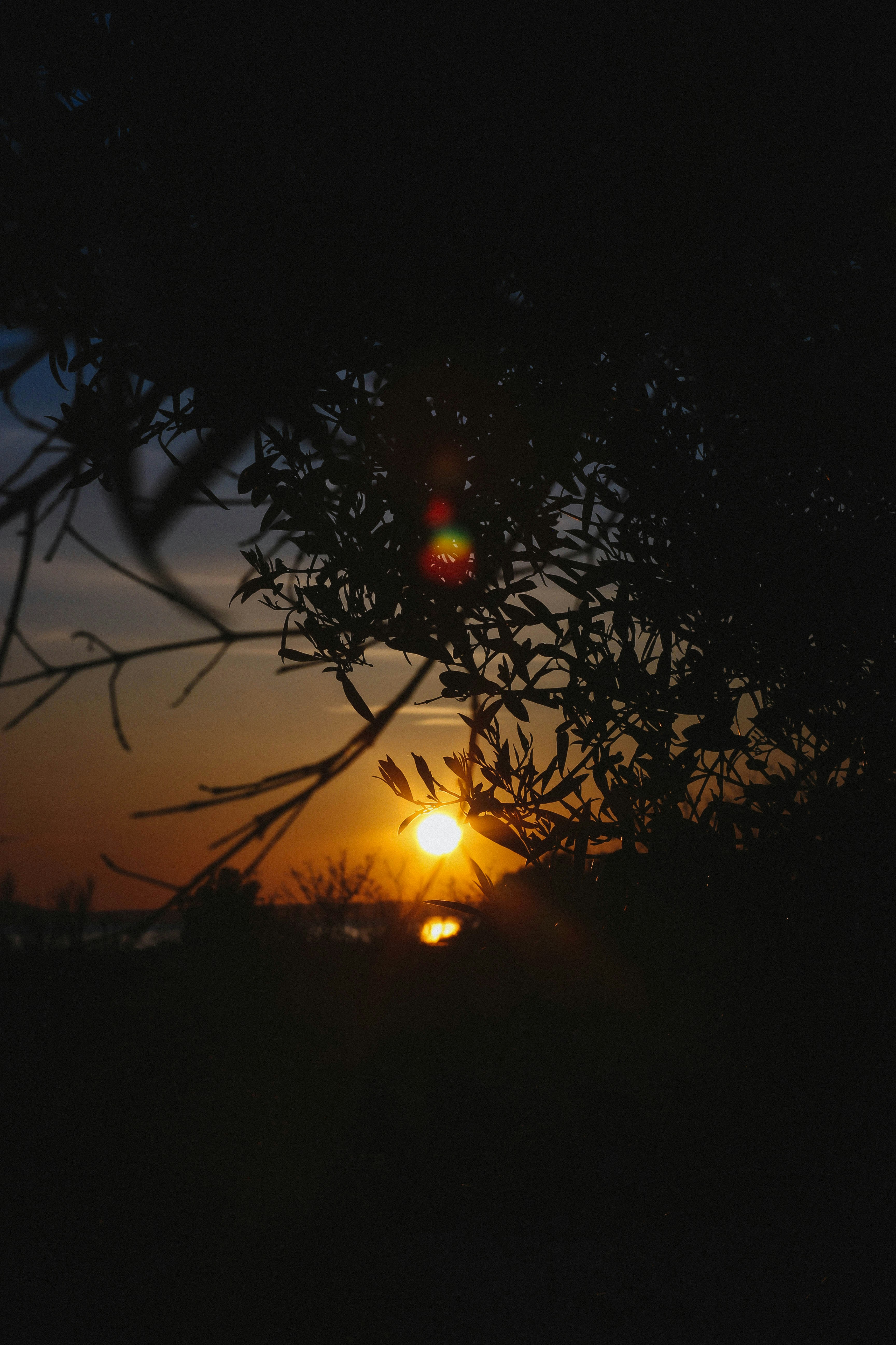 Photo by hls44