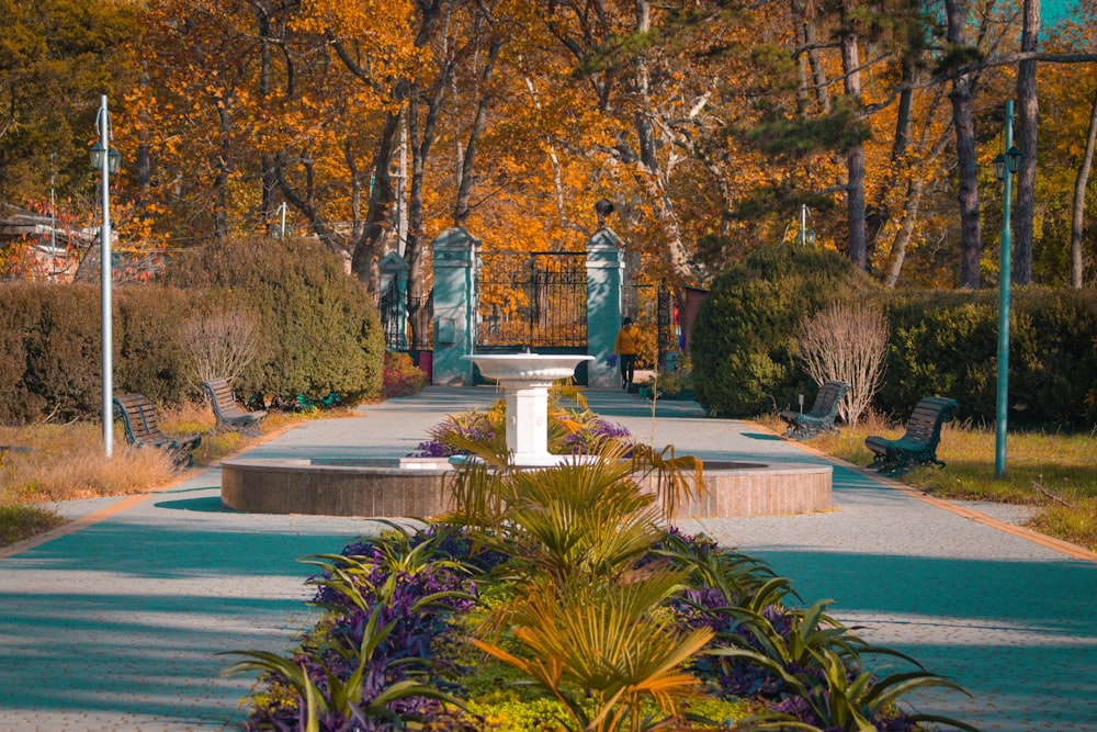 a park with a fountain surrounded by trees