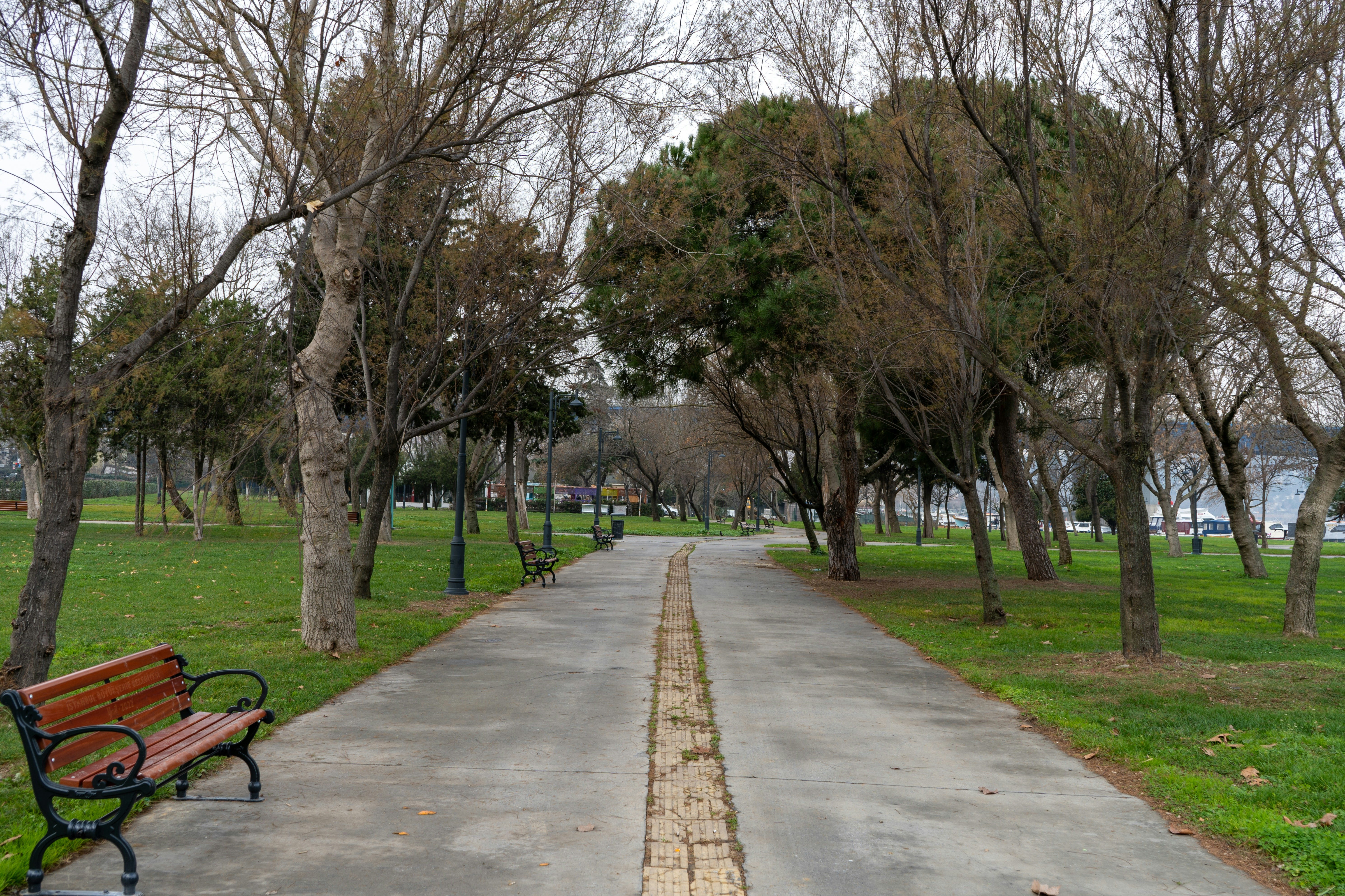 autumn - nX8H4VULcrQ