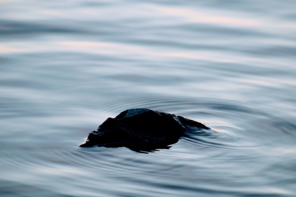 a rock in the middle of a body of water