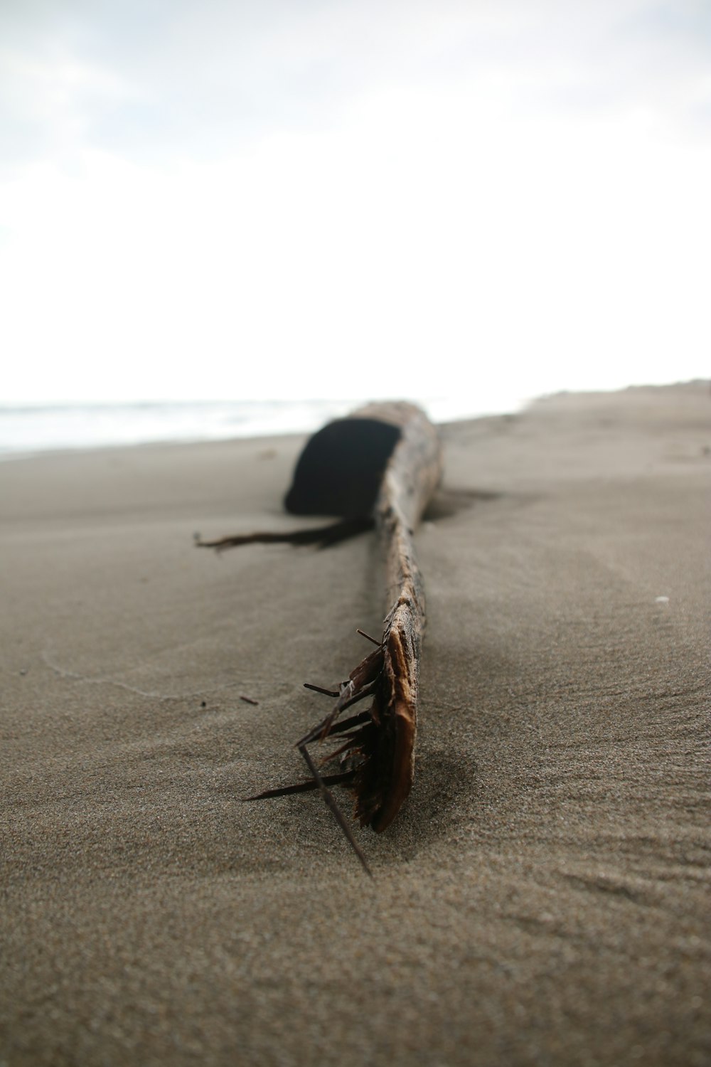 a long piece of wood laying on top of a sandy beach