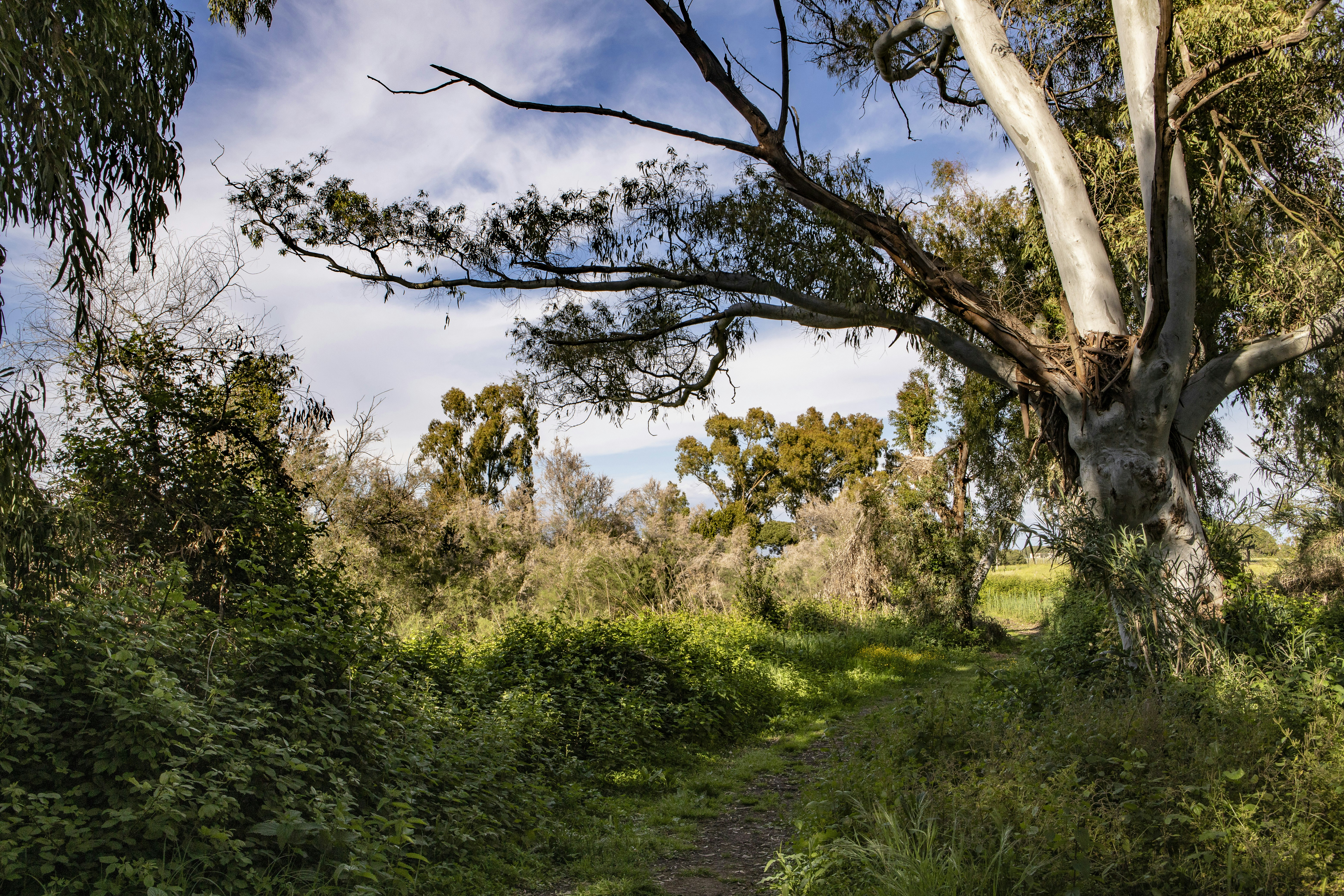 Photo by jddartphotographer