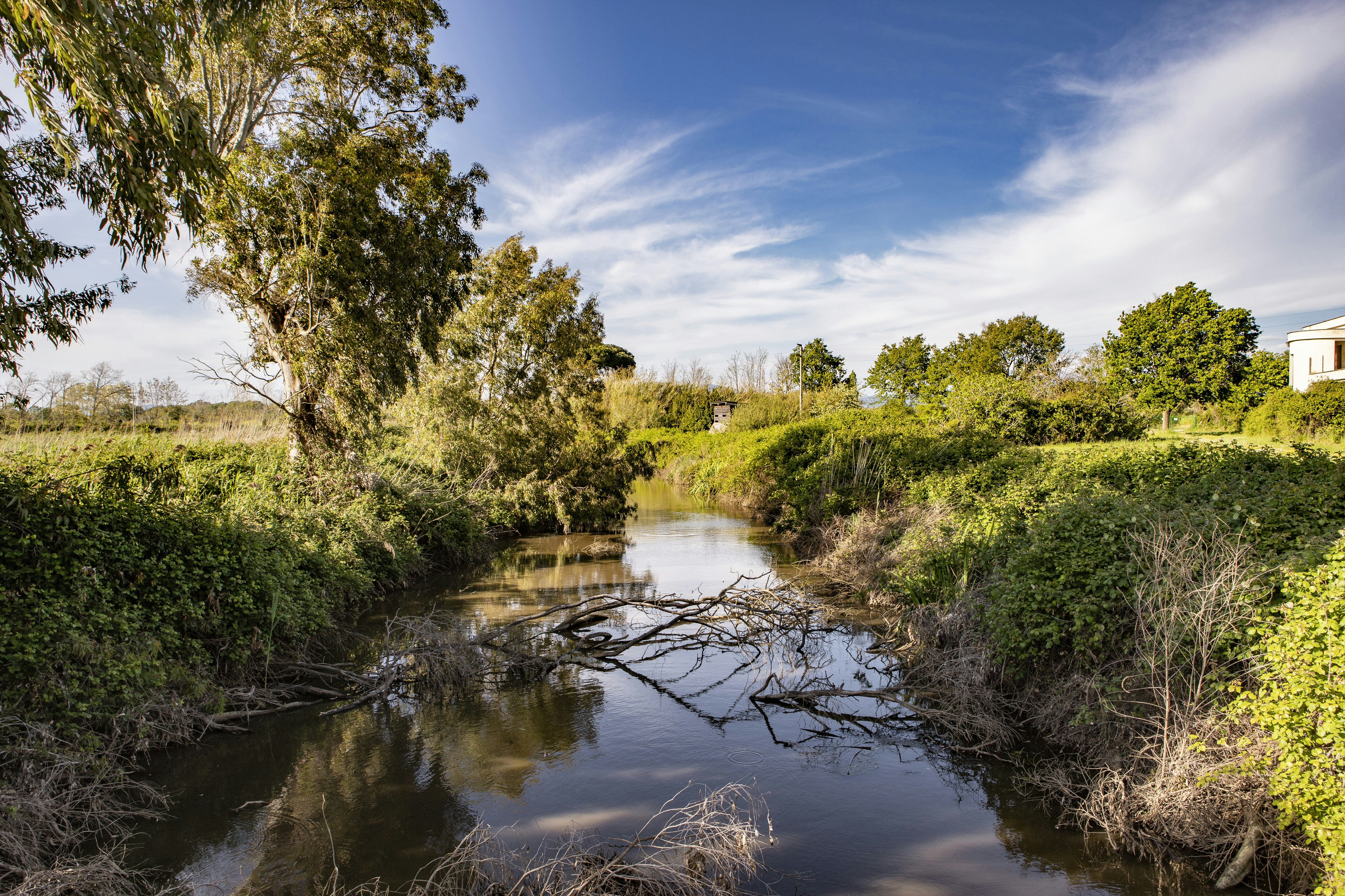 Photo by jddartphotographer