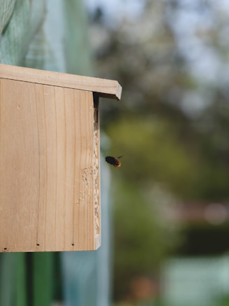 A wooden birdhouse is mounted outdoors with a bee or similar insect flying near the entrance. The background is blurred, suggesting a natural, outdoor setting with greenery.