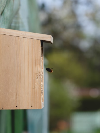 A wooden birdhouse is mounted outdoors with a bee or similar insect flying near the entrance. The background is blurred, suggesting a natural, outdoor setting with greenery.