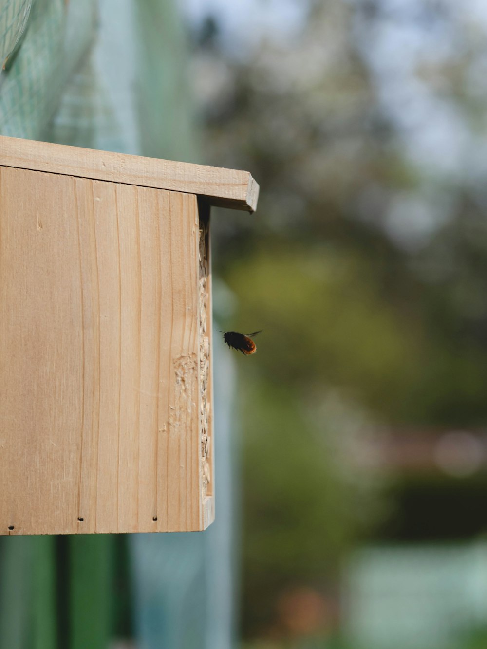 a wooden birdhouse with a small bird inside of it