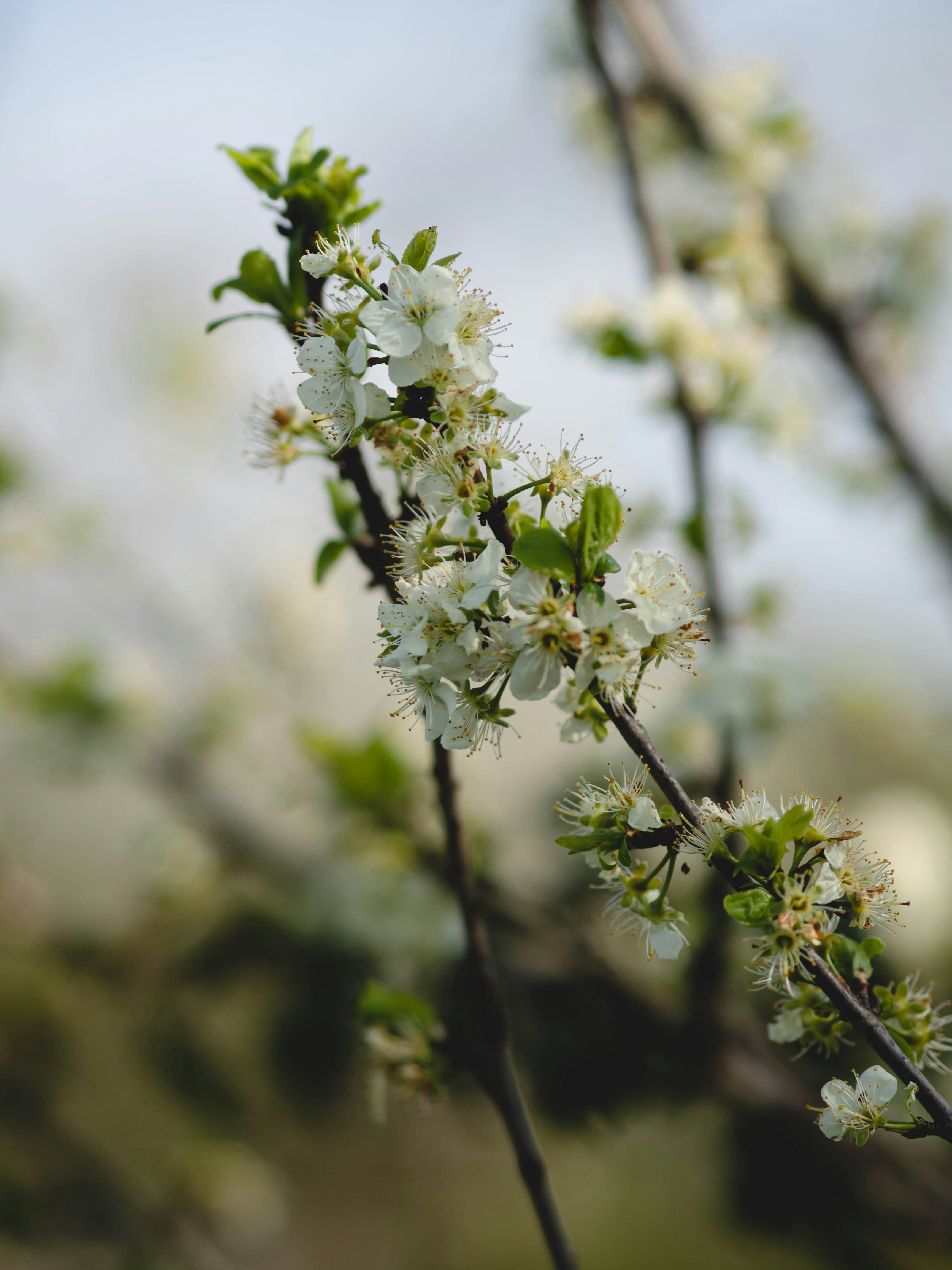 Photo by eileen_kummer