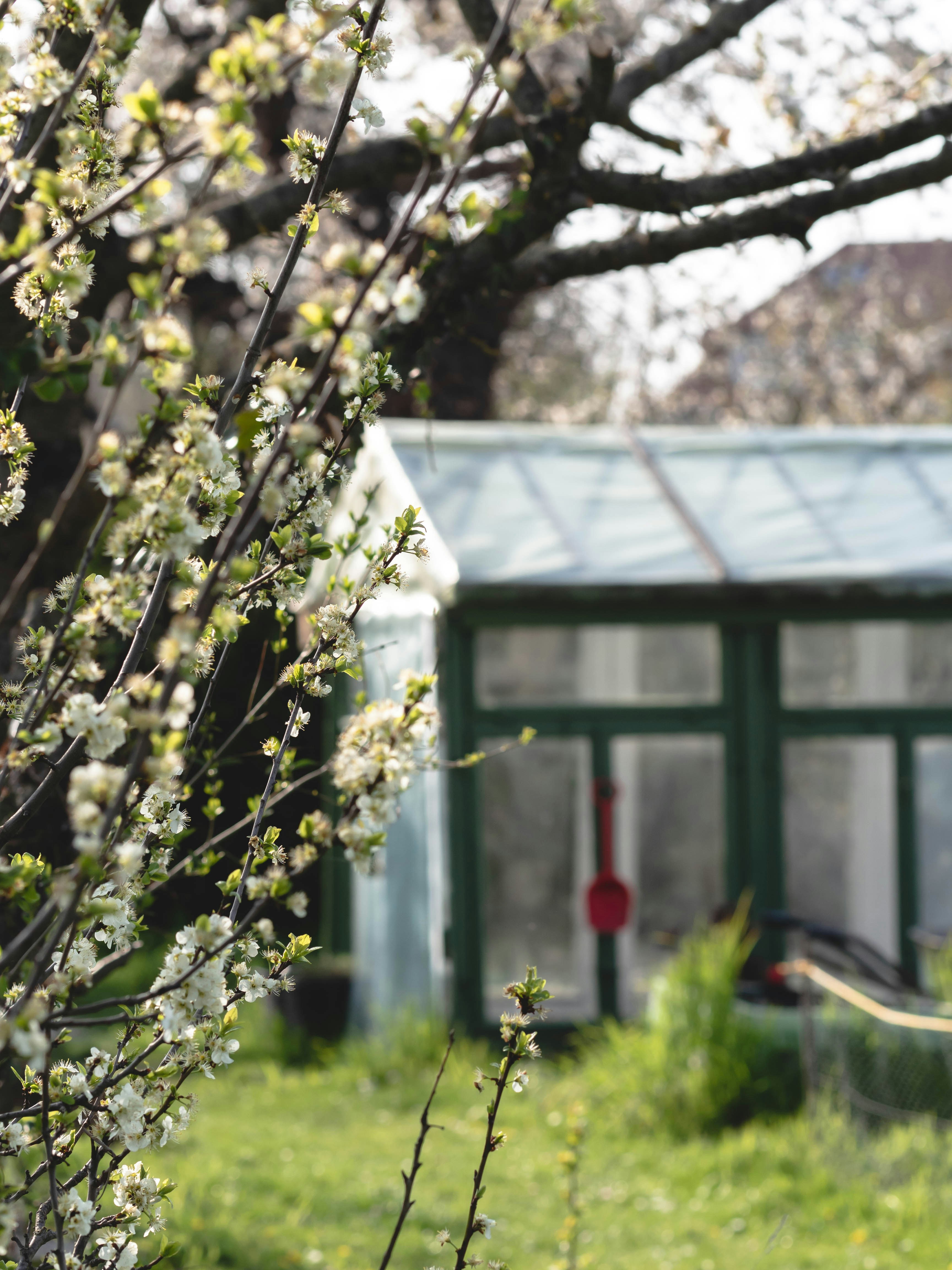 Photo by eileen_kummer