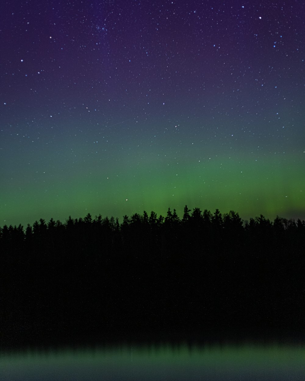 a green and purple aurora over a lake