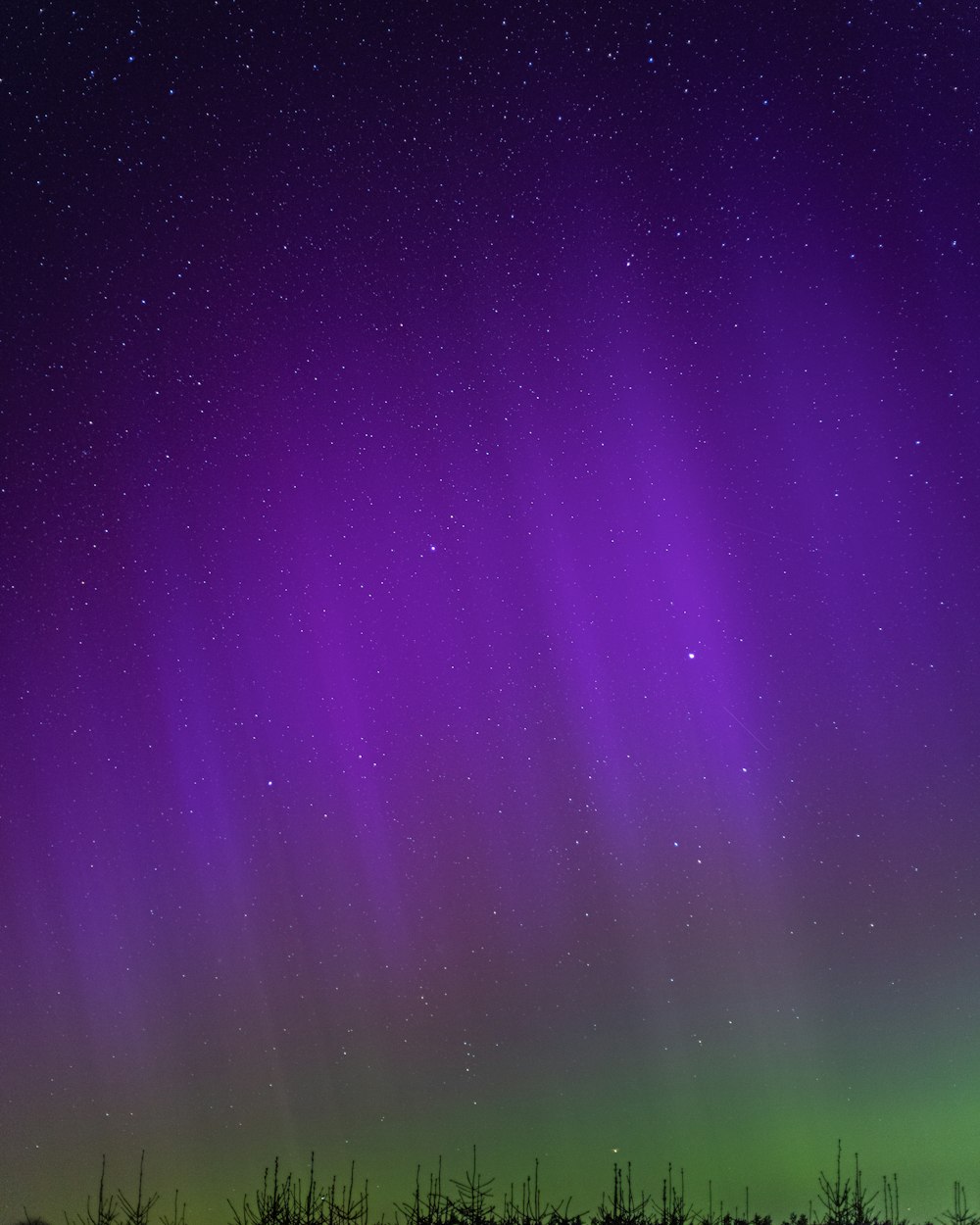 a purple and green aurora bore in the night sky